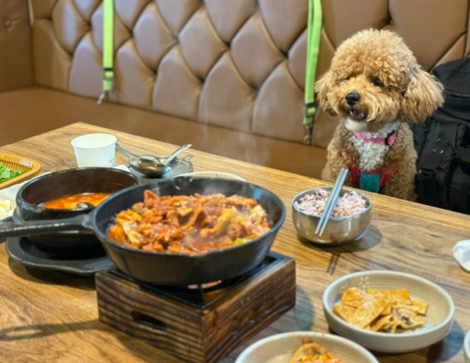 개떼놀이터 인천점 대표 이미지