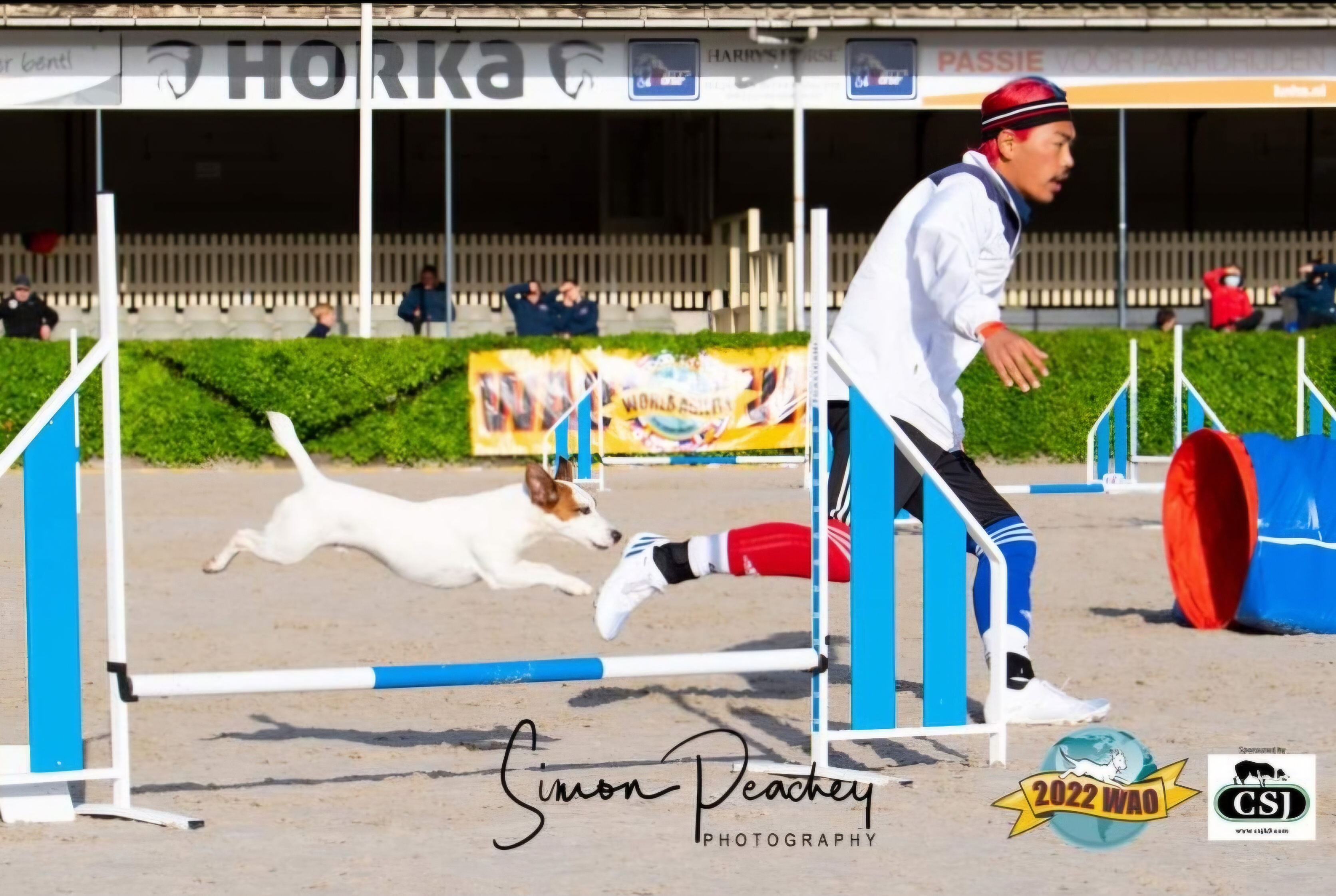 킨더도기 어질리티 훈련소 대표 이미지