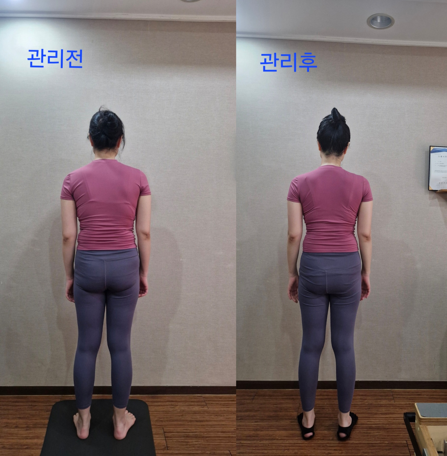 라파엘바디 photo 7