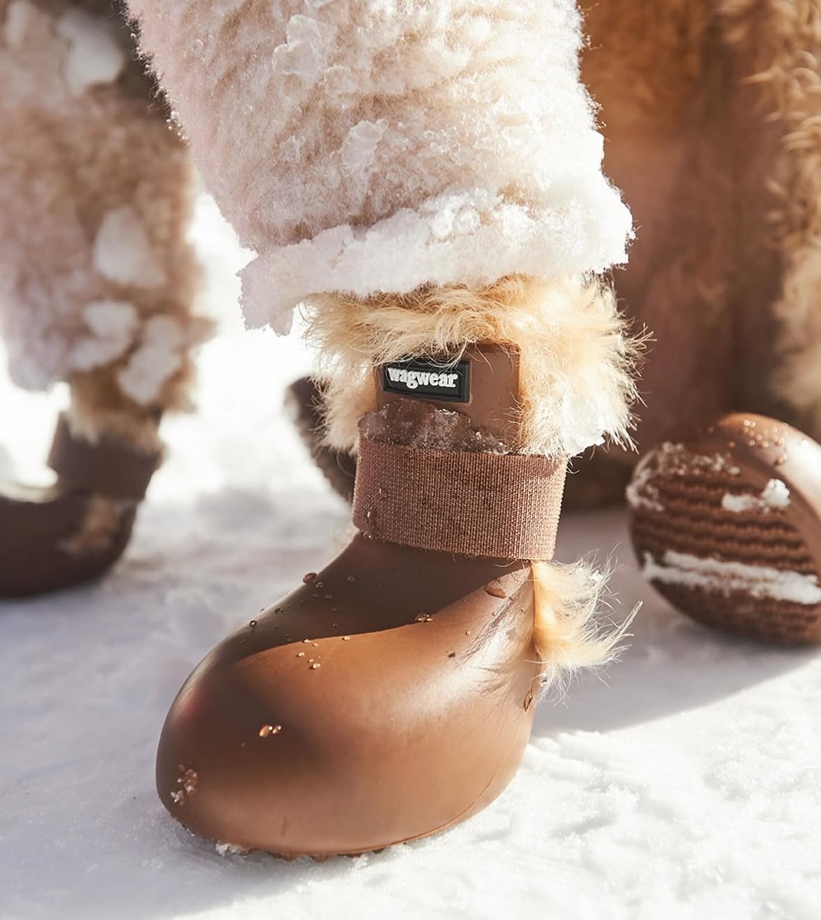 위글벗 대표 이미지