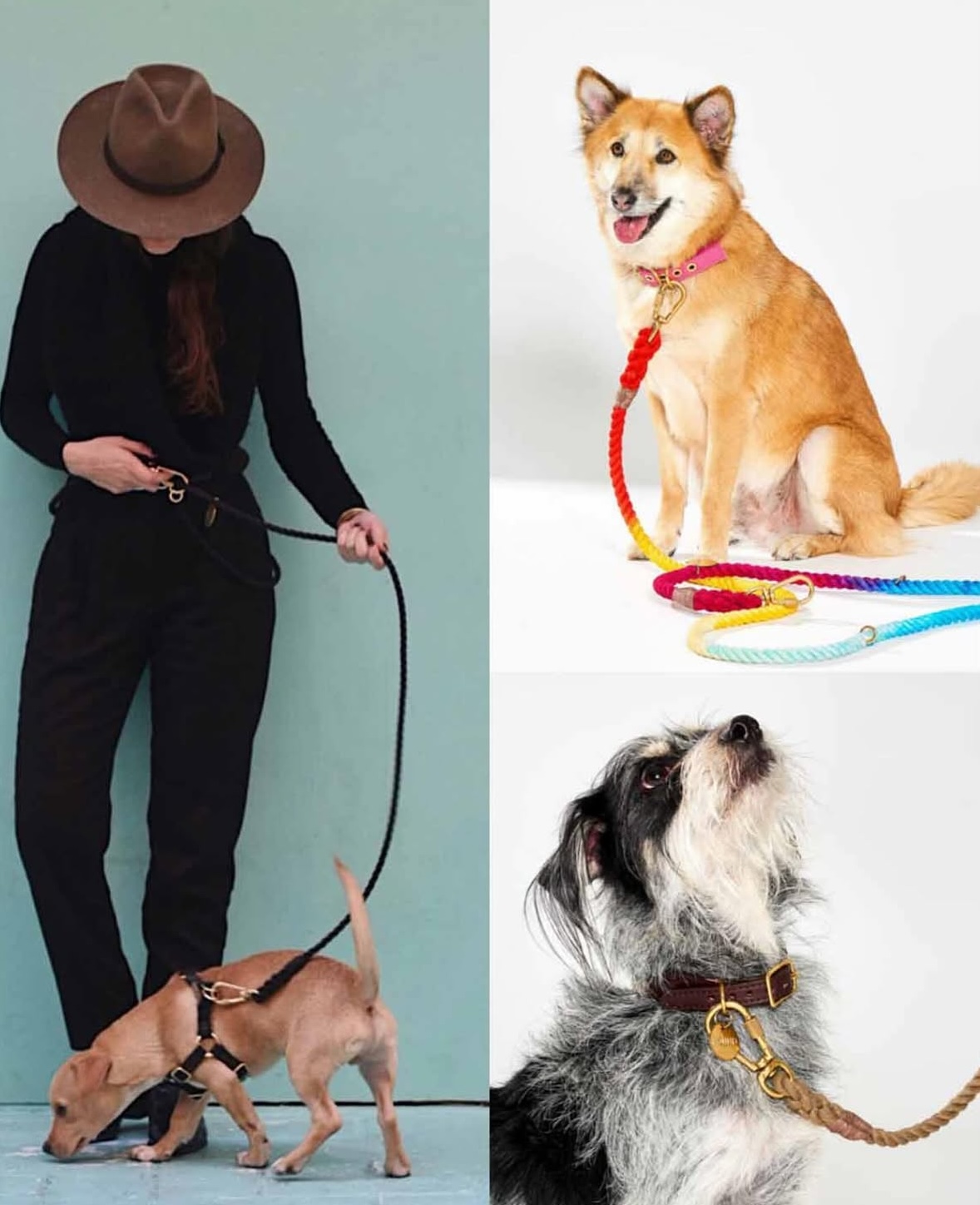 위글벗 대표 이미지