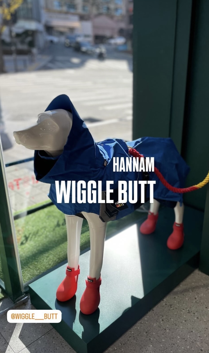 위글벗 대표 이미지