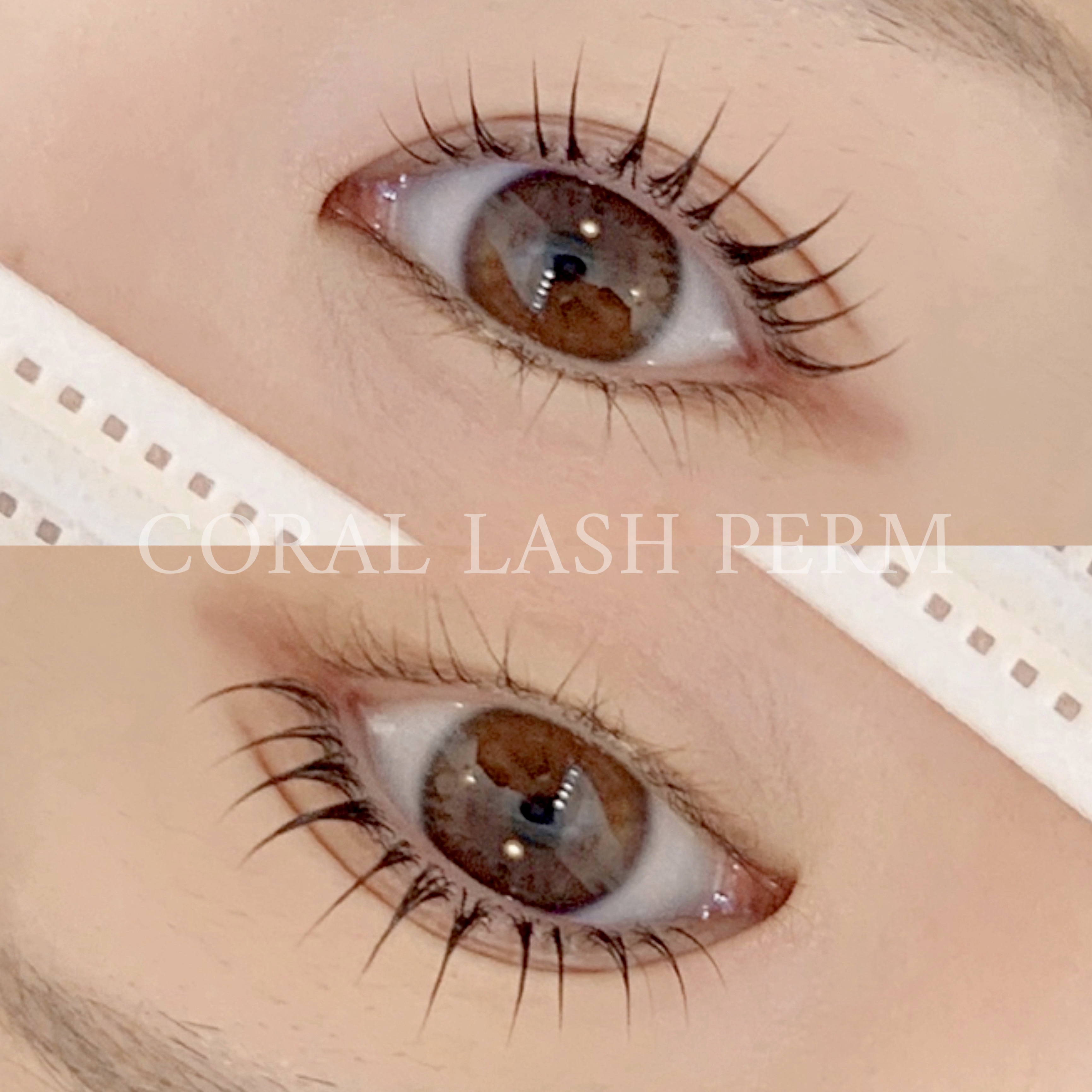 코랄뷰티 대표 이미지