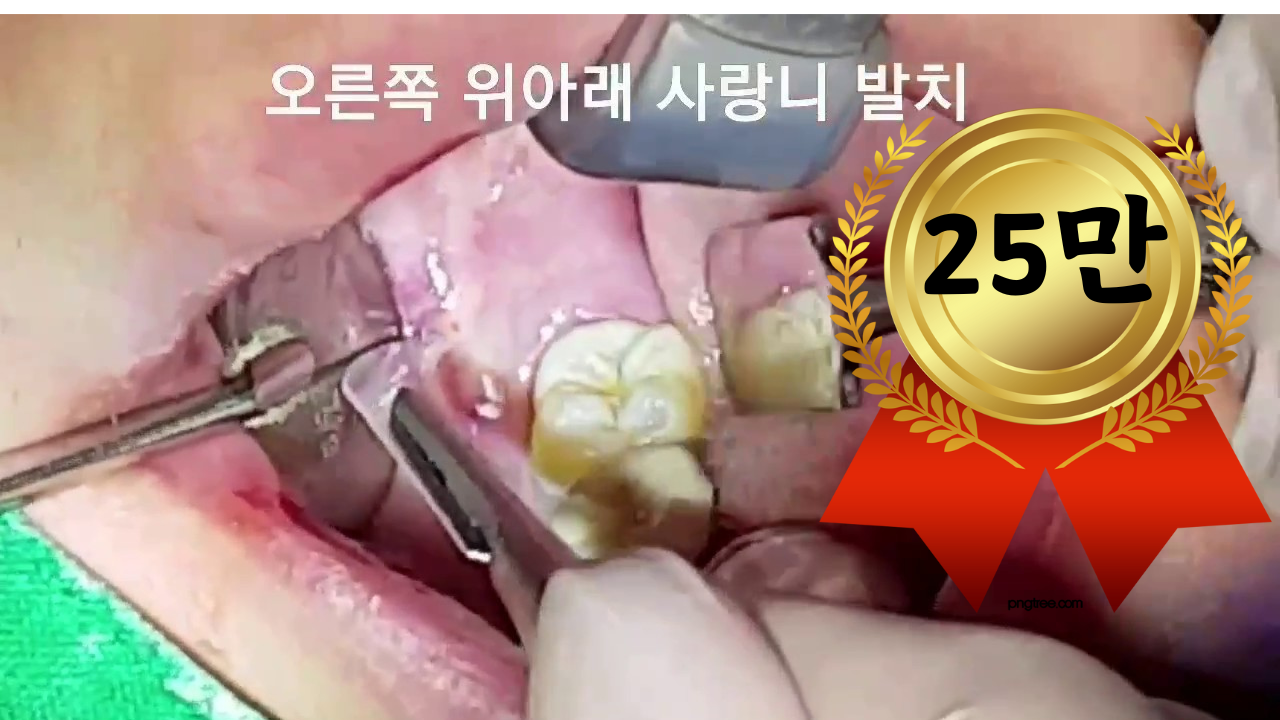 동래 보스톤치과 대표 이미지