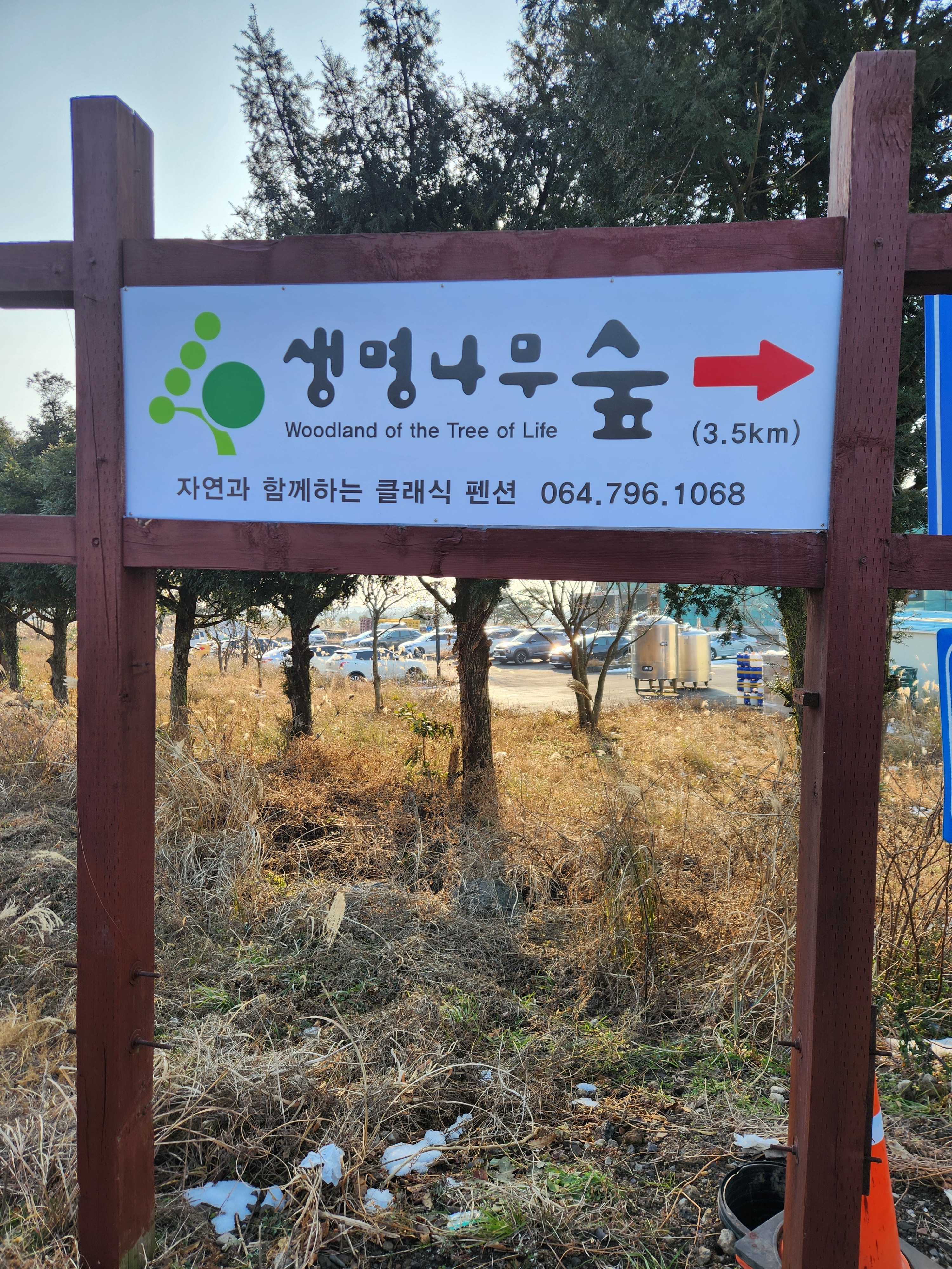 Tree of Life Forest property photo