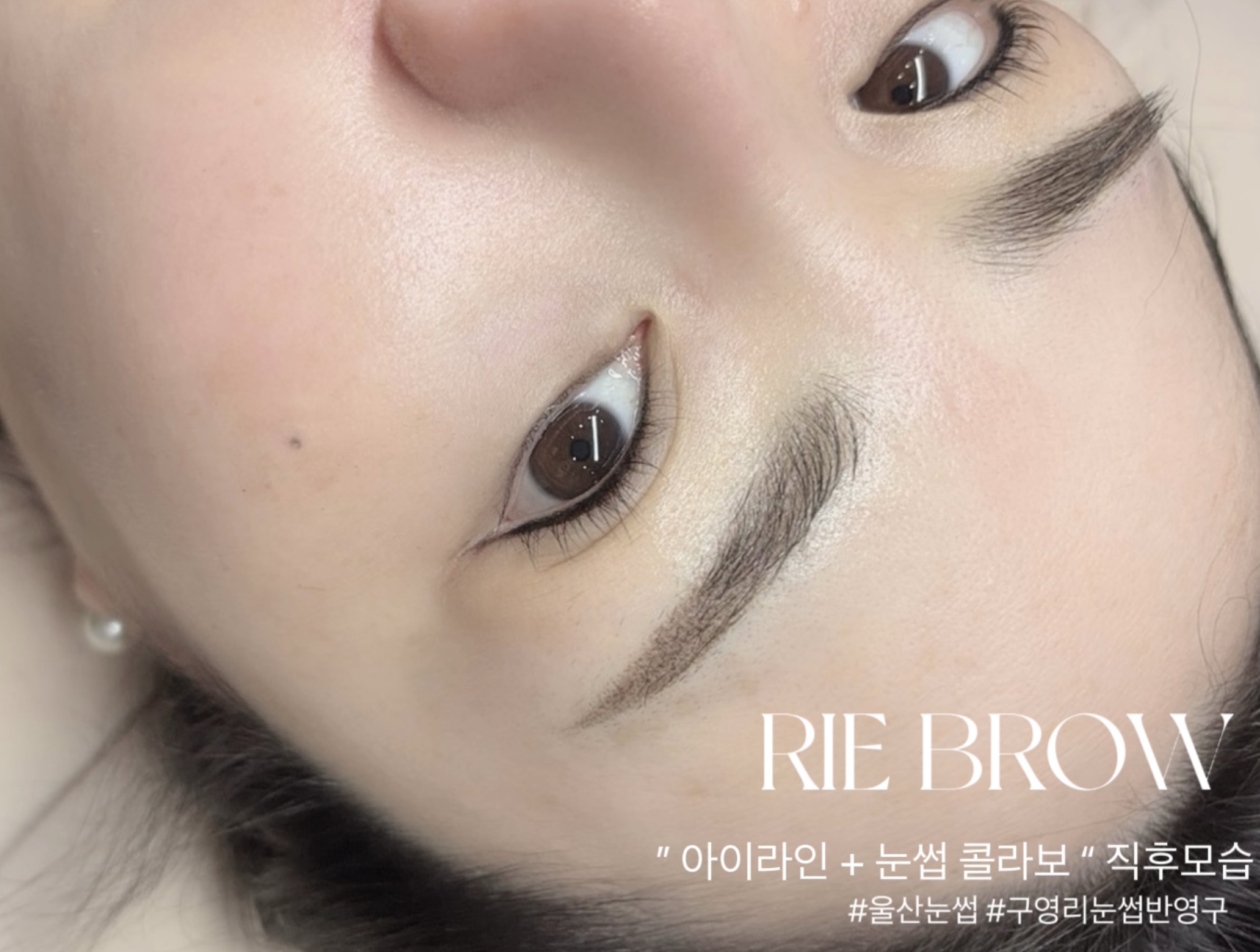 리이브로우