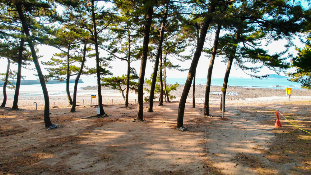 곰섬캠핑장 2구역