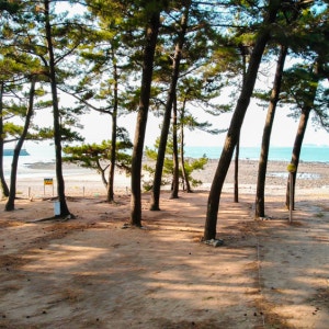 곰섬캠핑장 2구역
