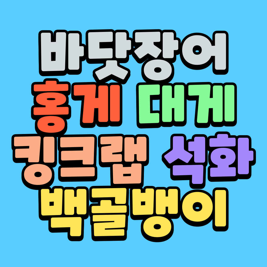 써니야오빠왔다