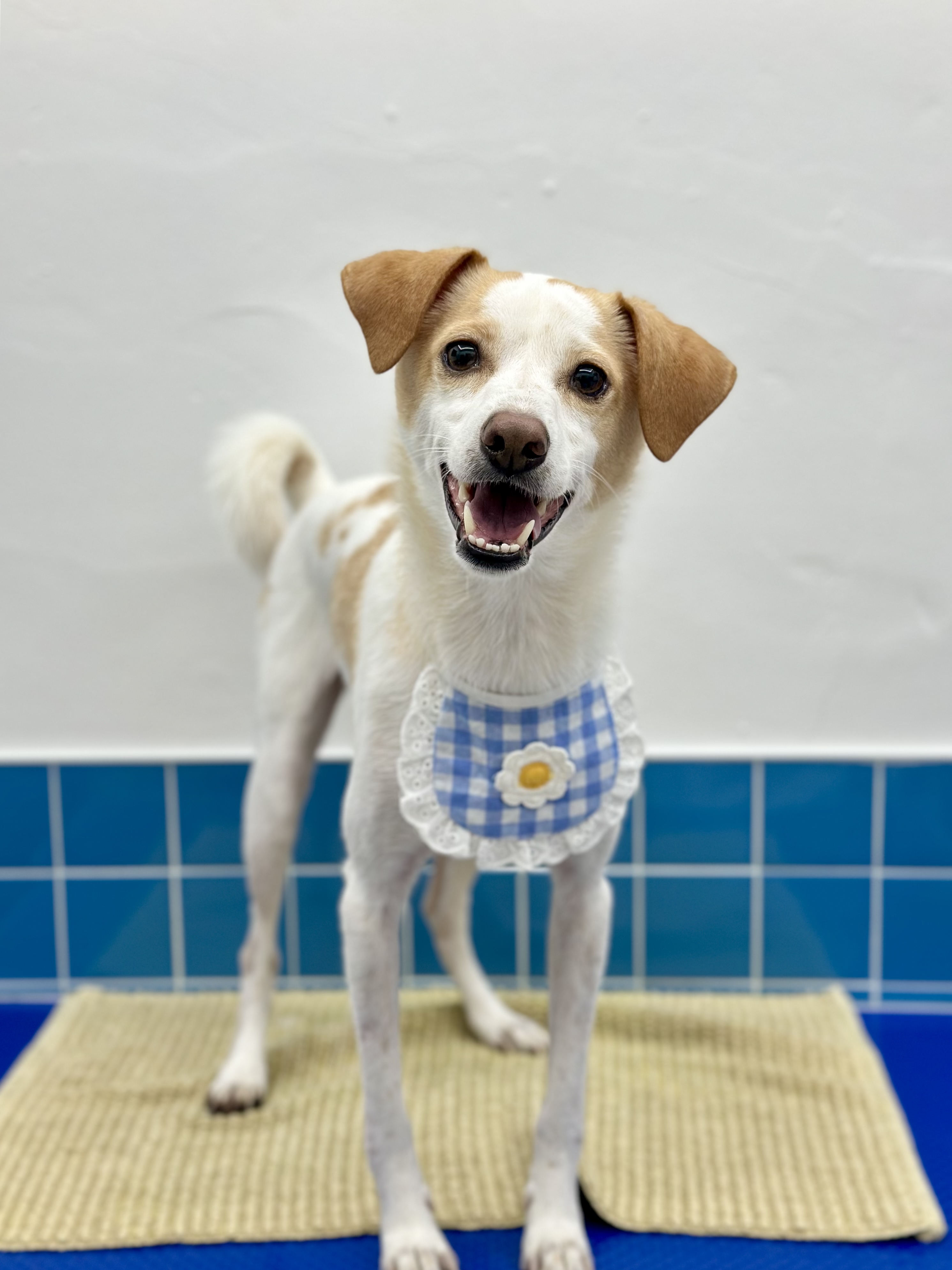 뽀독뽀독 대표 이미지