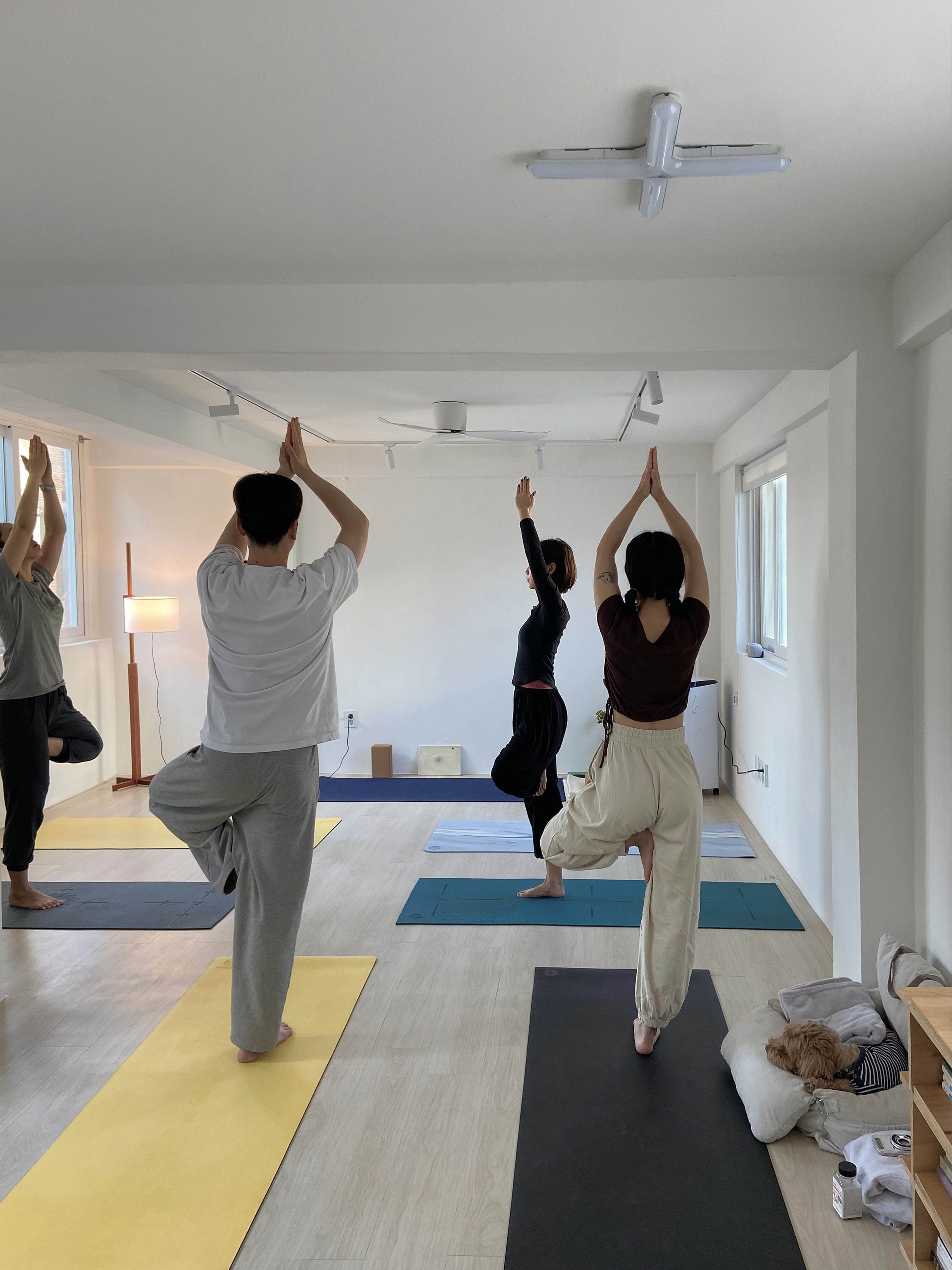 요가평원 대표 이미지