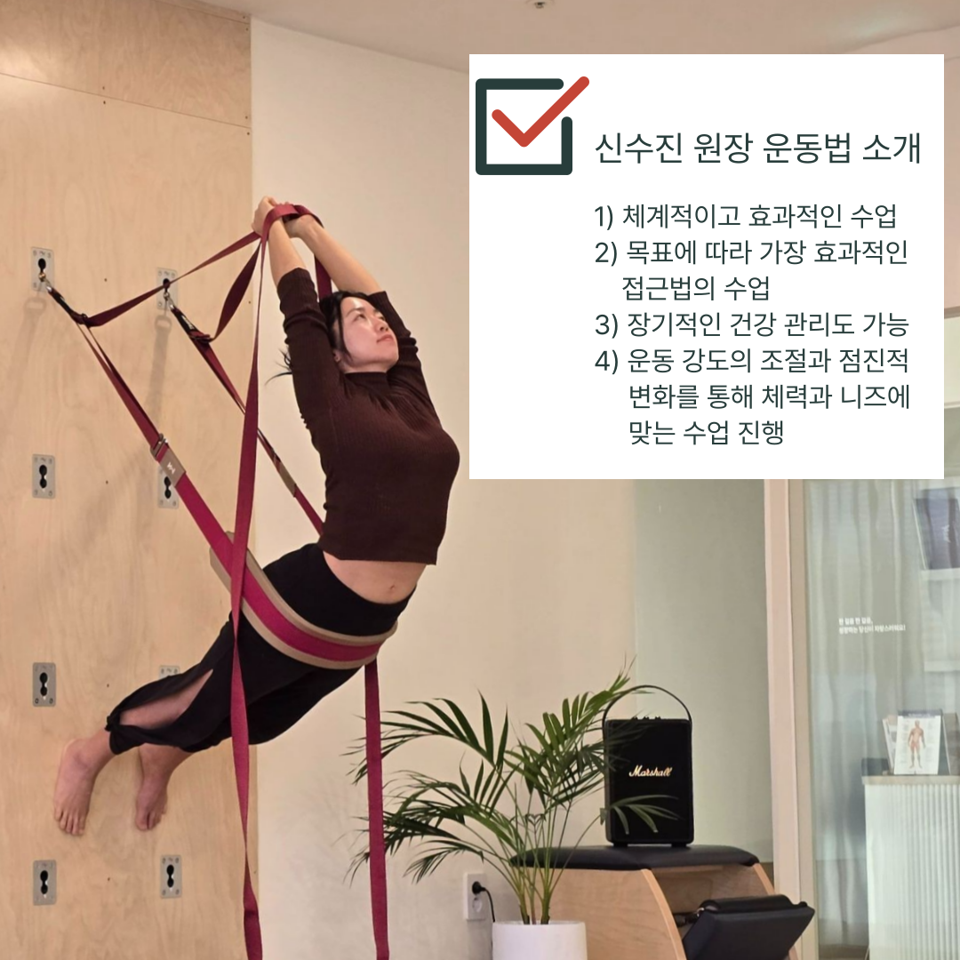 명지 신수진다옴메디월 요가필라테스