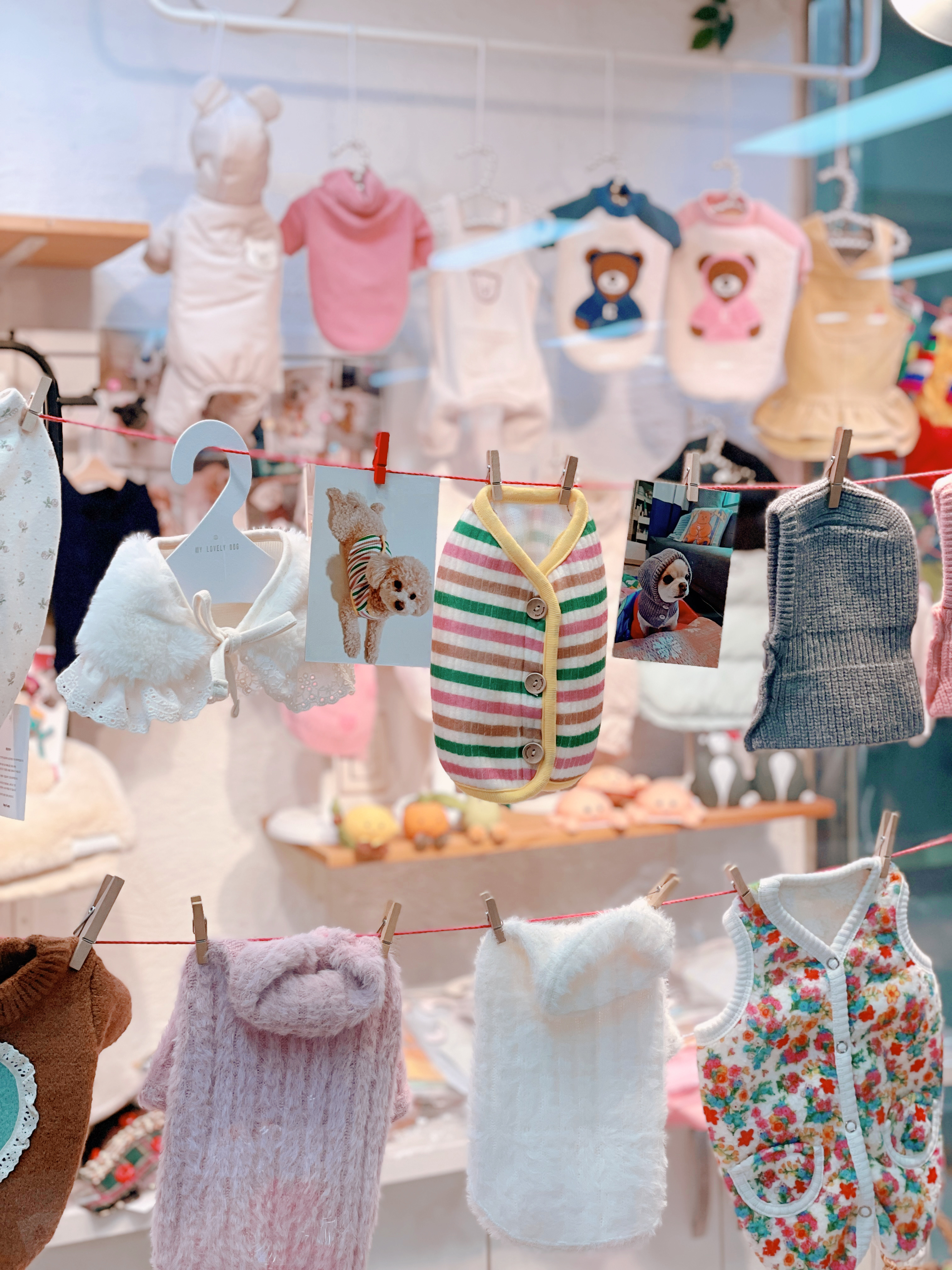 안나 대표 이미지