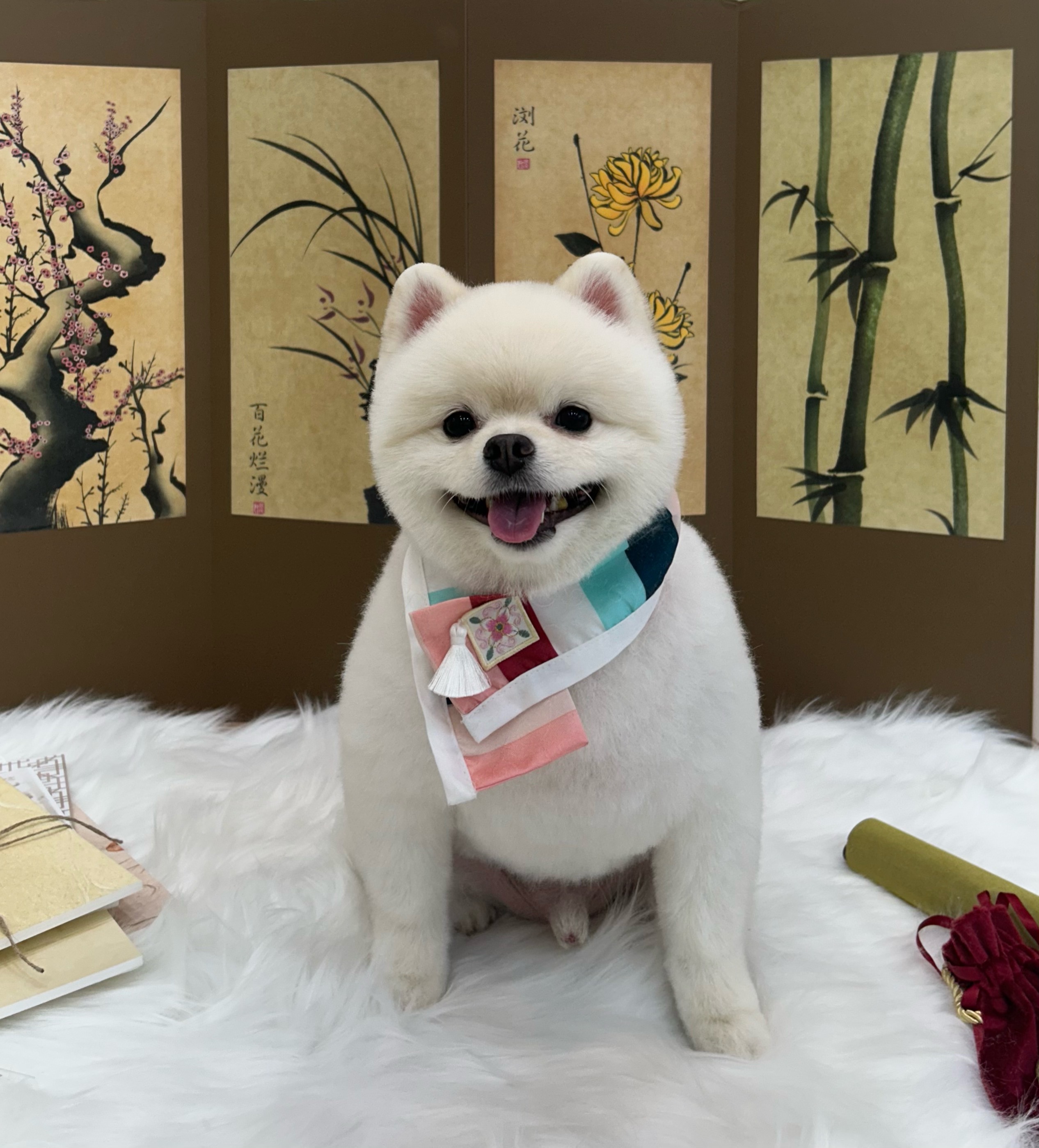 몽실몽실 대표 이미지