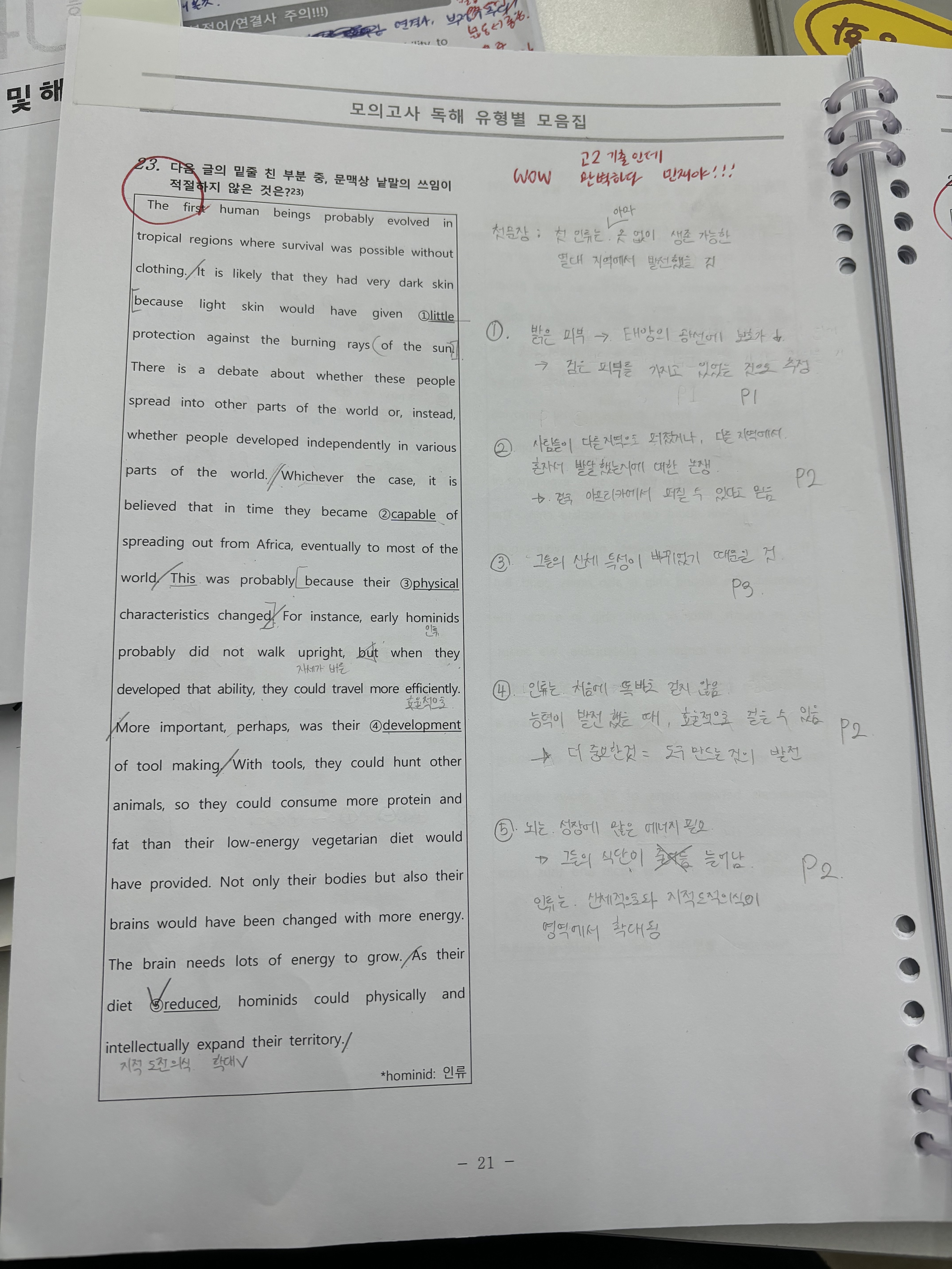 고도영어학원