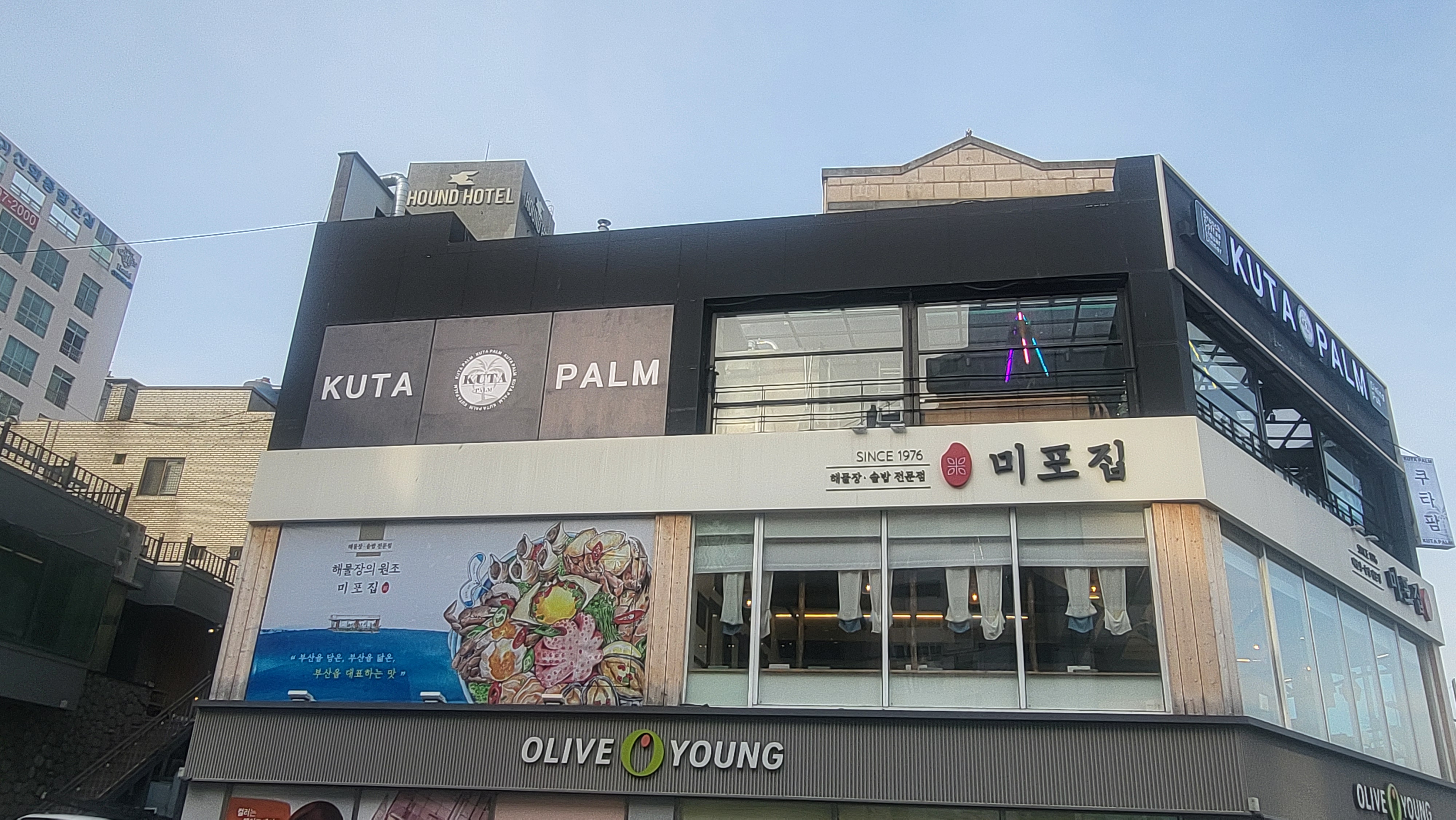 쿠타팜테라스 브런치카페 반려동물 동반 애견카페