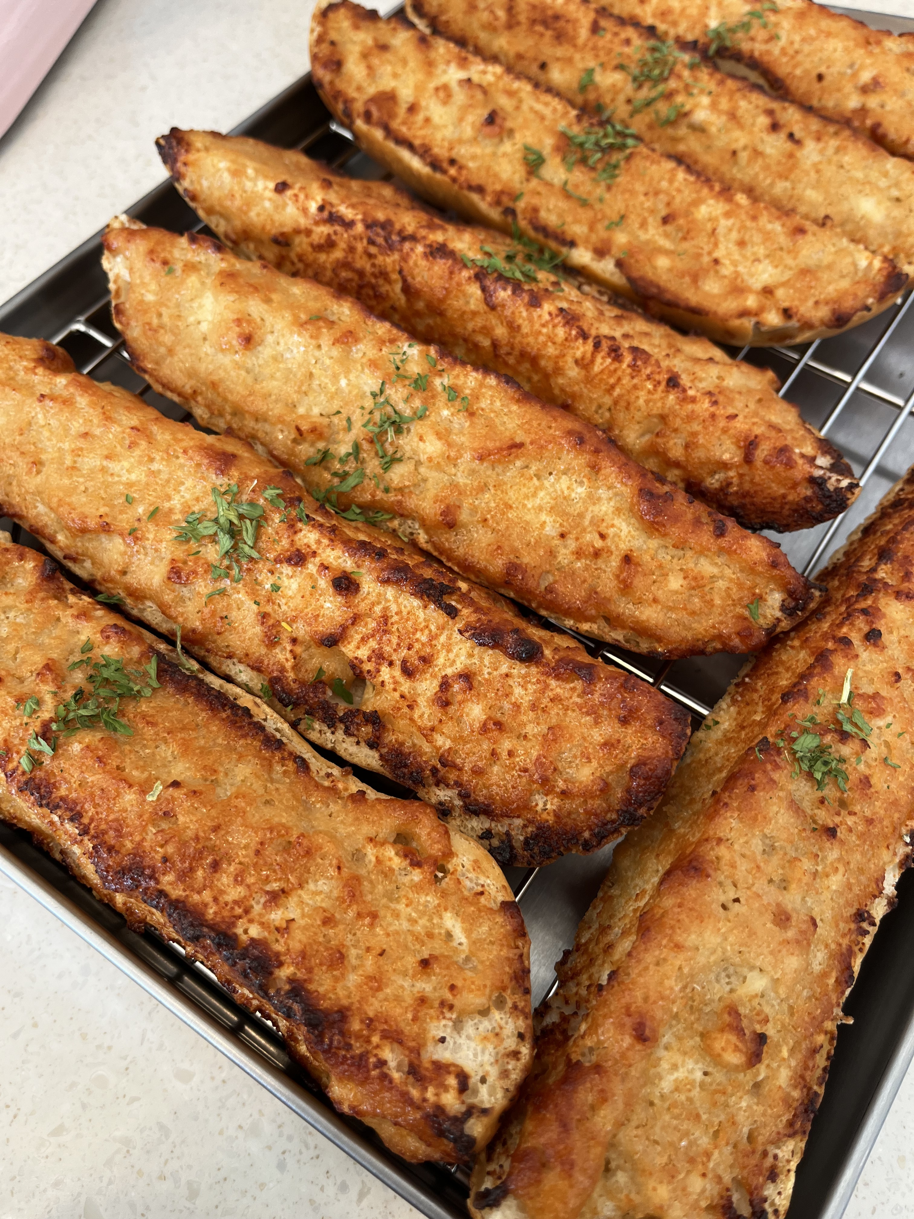 폭폭 반려동물 동반 애견카페