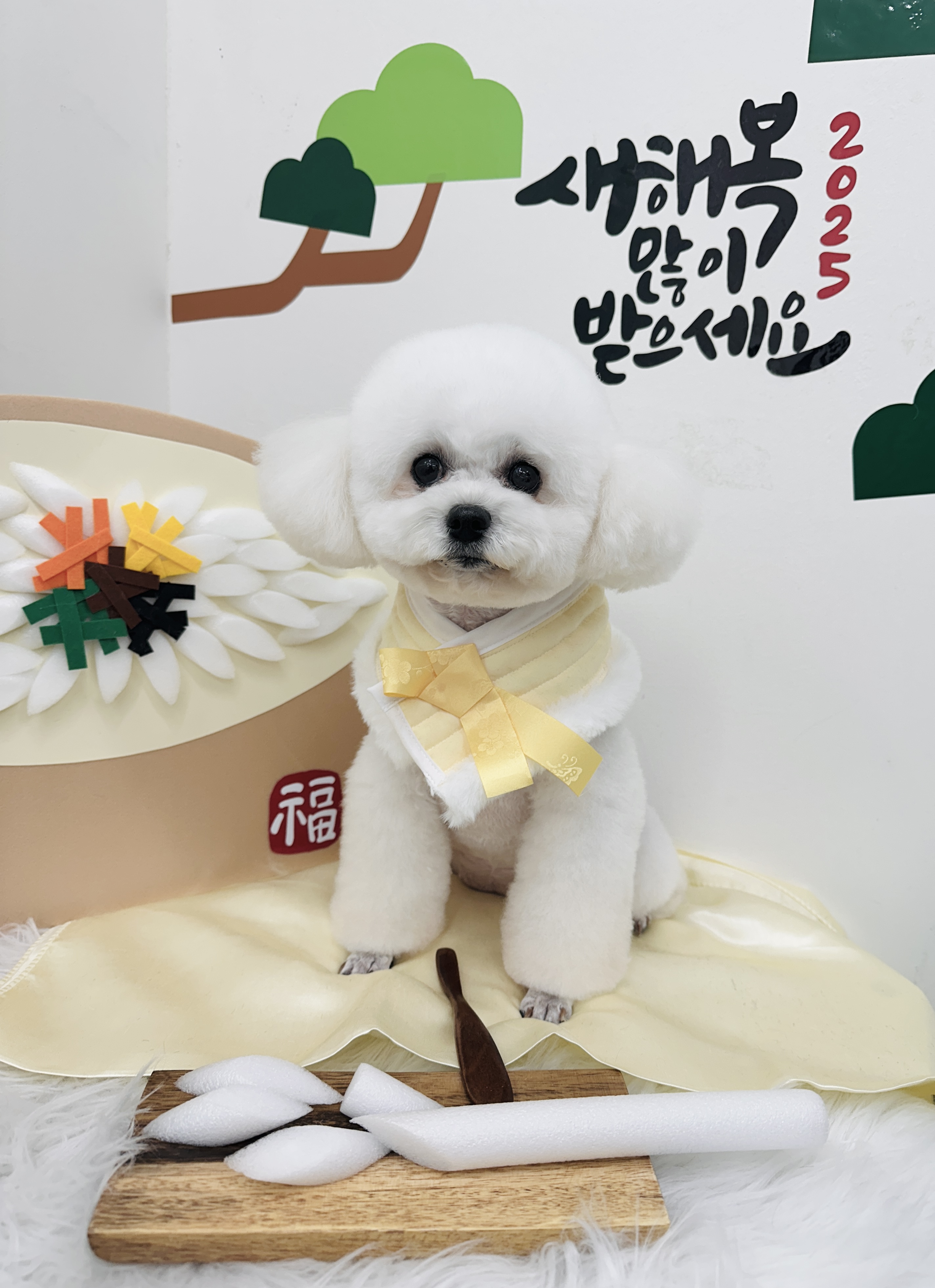 muangmuang 대표 이미지