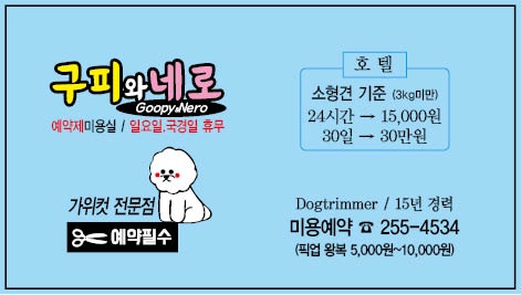 구피와 네로 대표 이미지