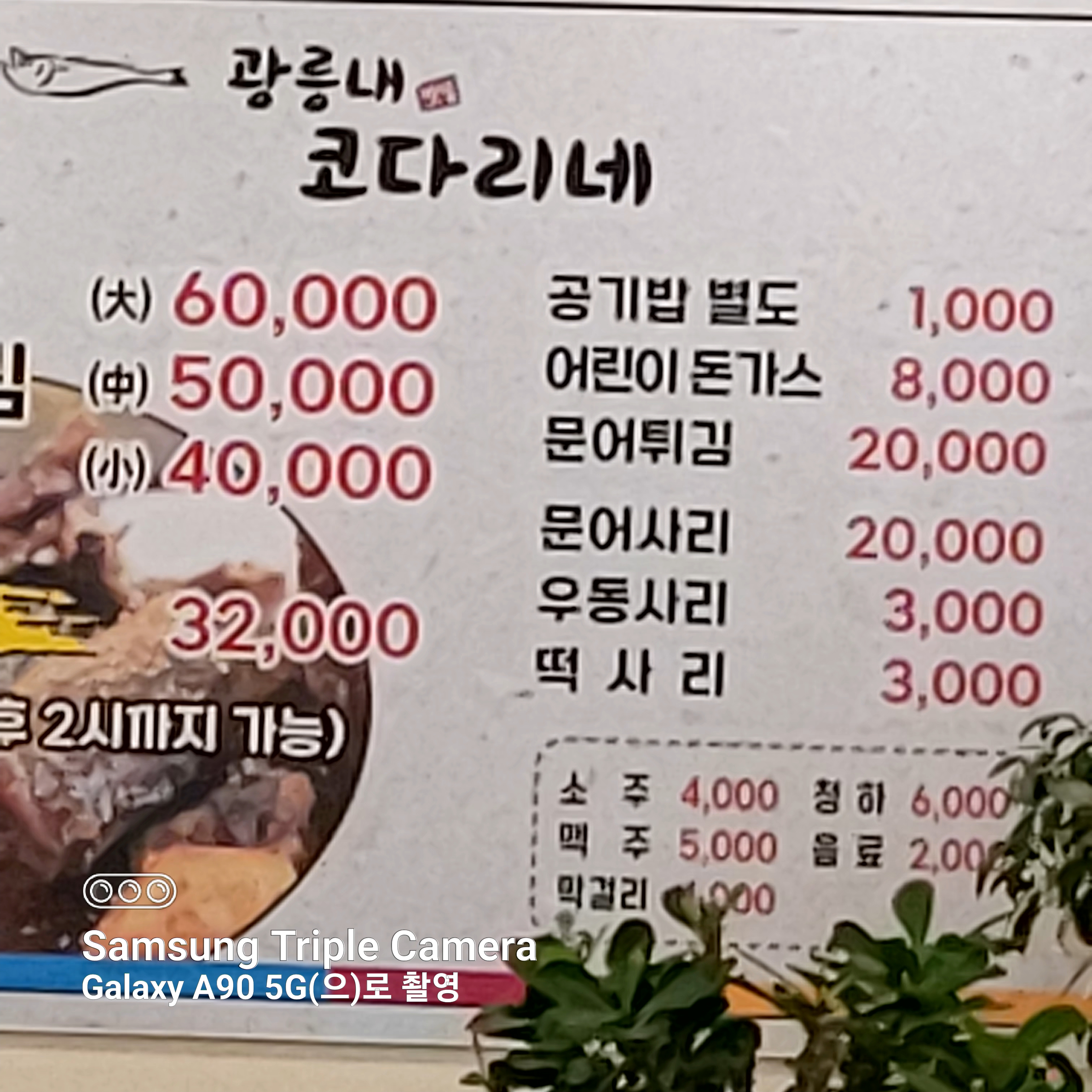 광릉내 맛집 코다리네