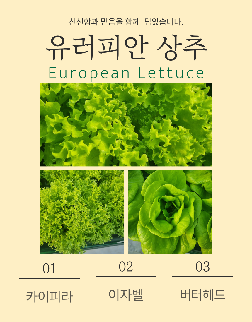 안산팜 영농조합법인