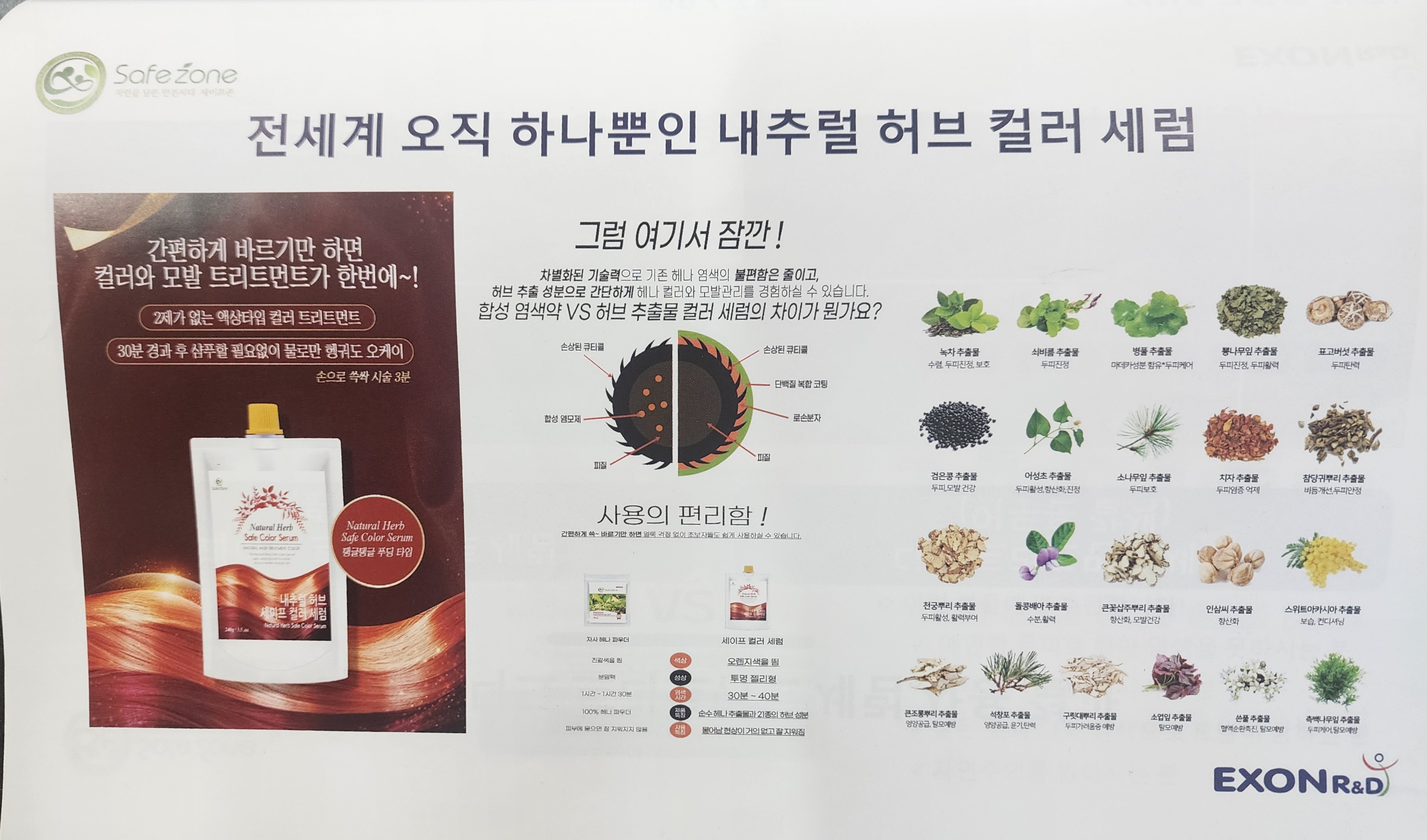 세이프존