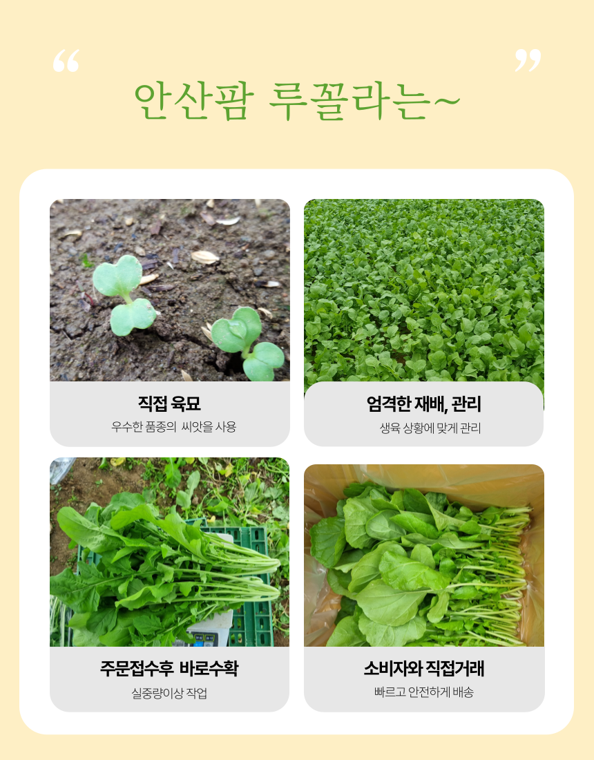 안산팜 영농조합법인