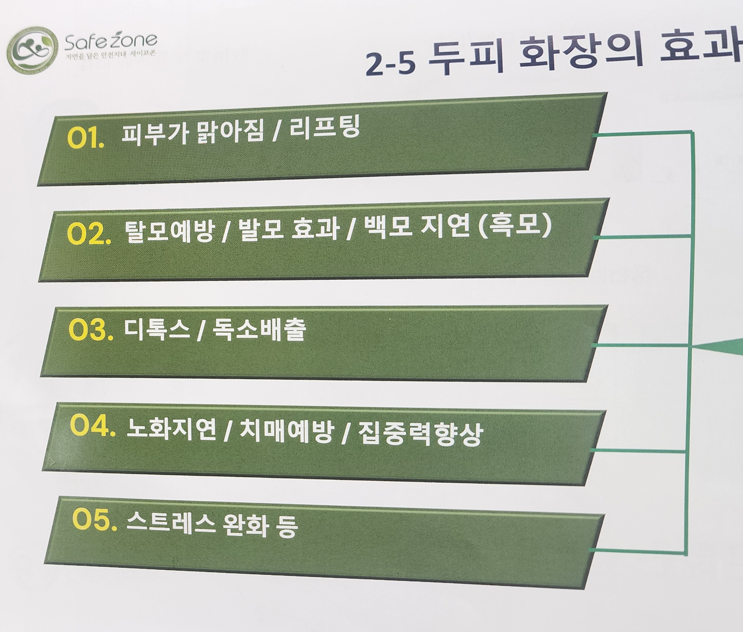 세이프존