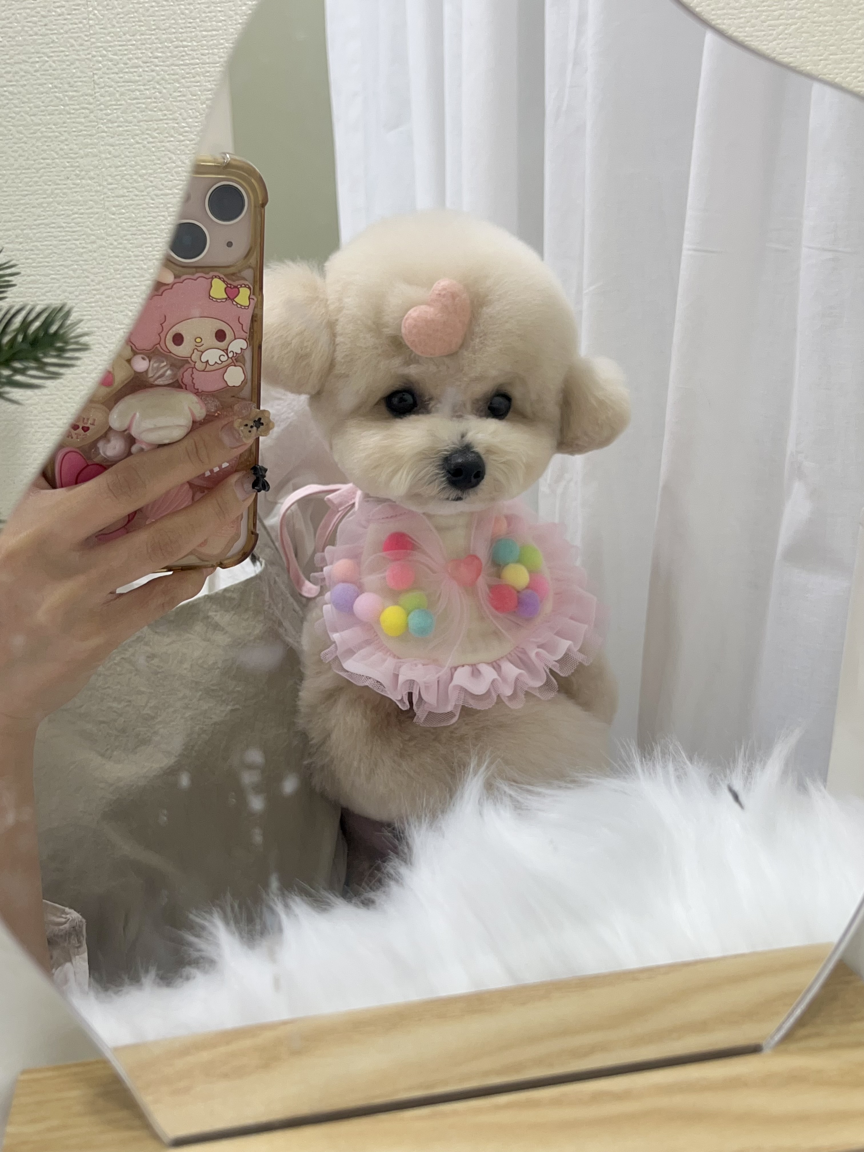 트리몽 대표 이미지