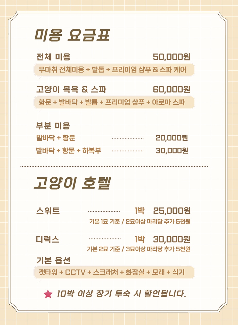 순천 고양이 미용 호텔 순고미 대표 이미지