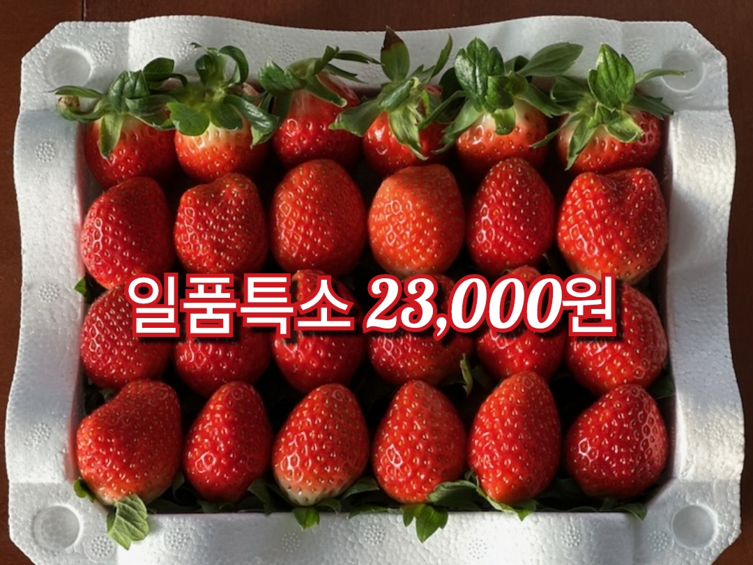 일품토경딸기