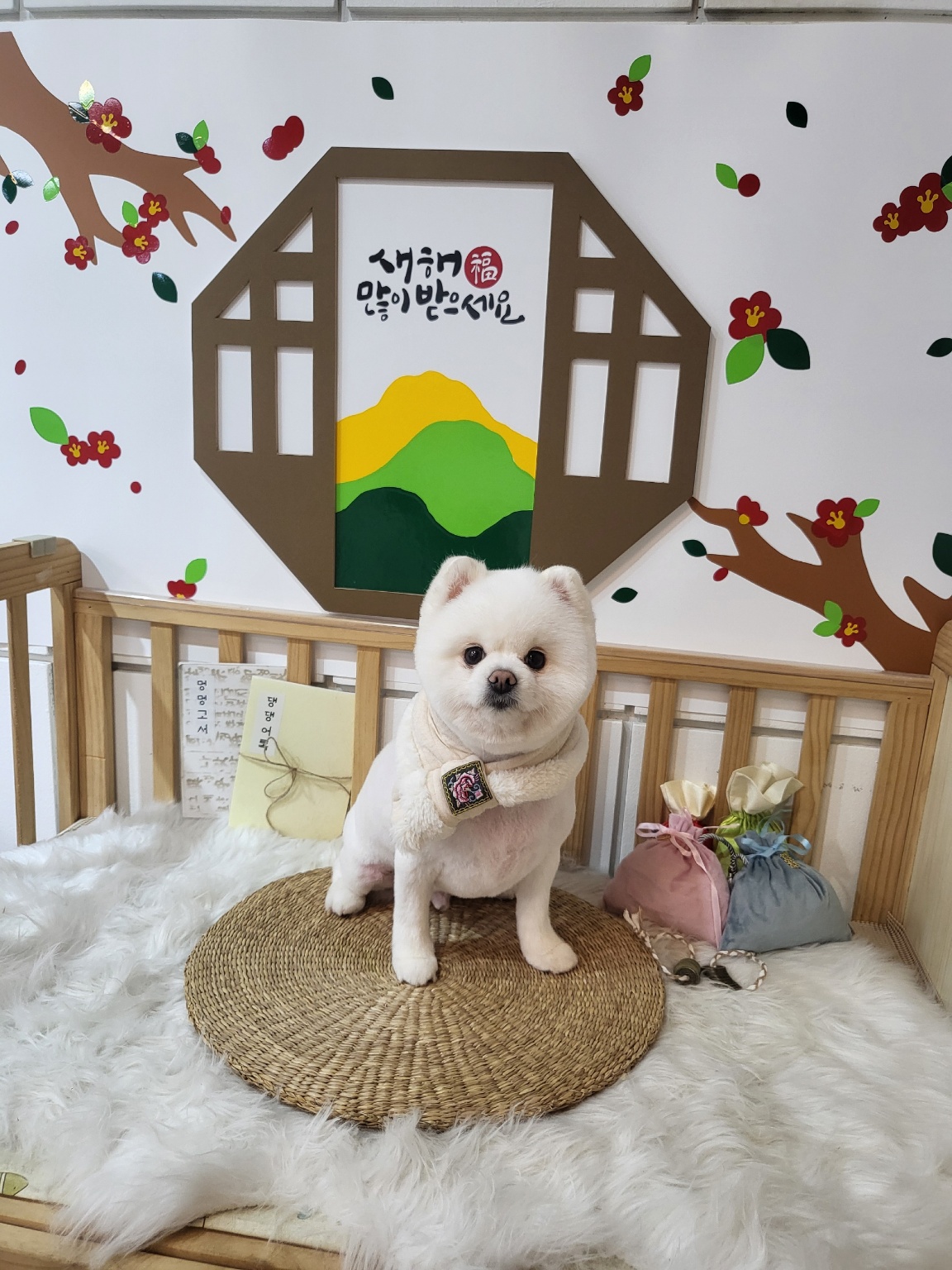 그루밍 쎕템버 대표 이미지