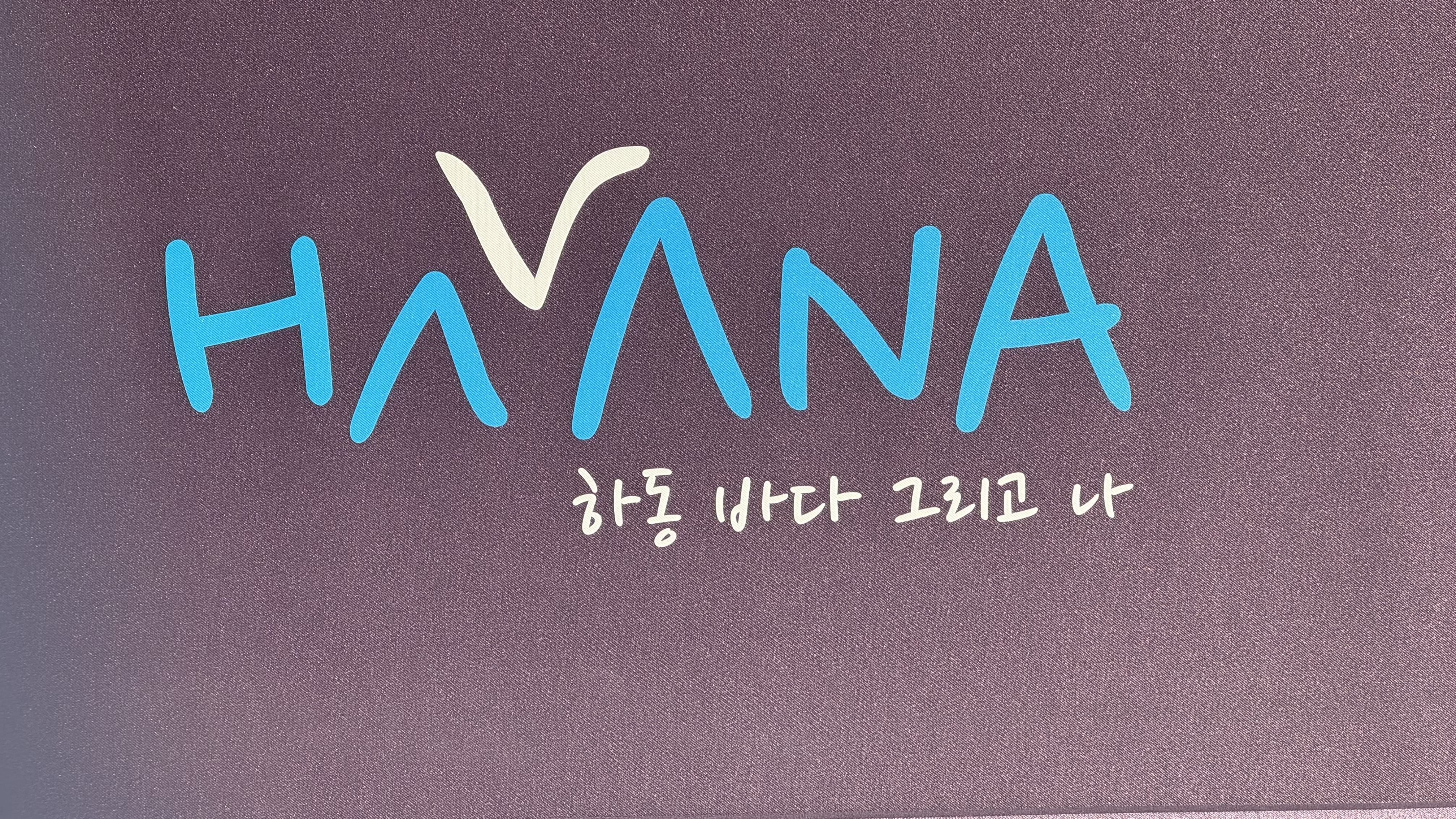호텔하바나