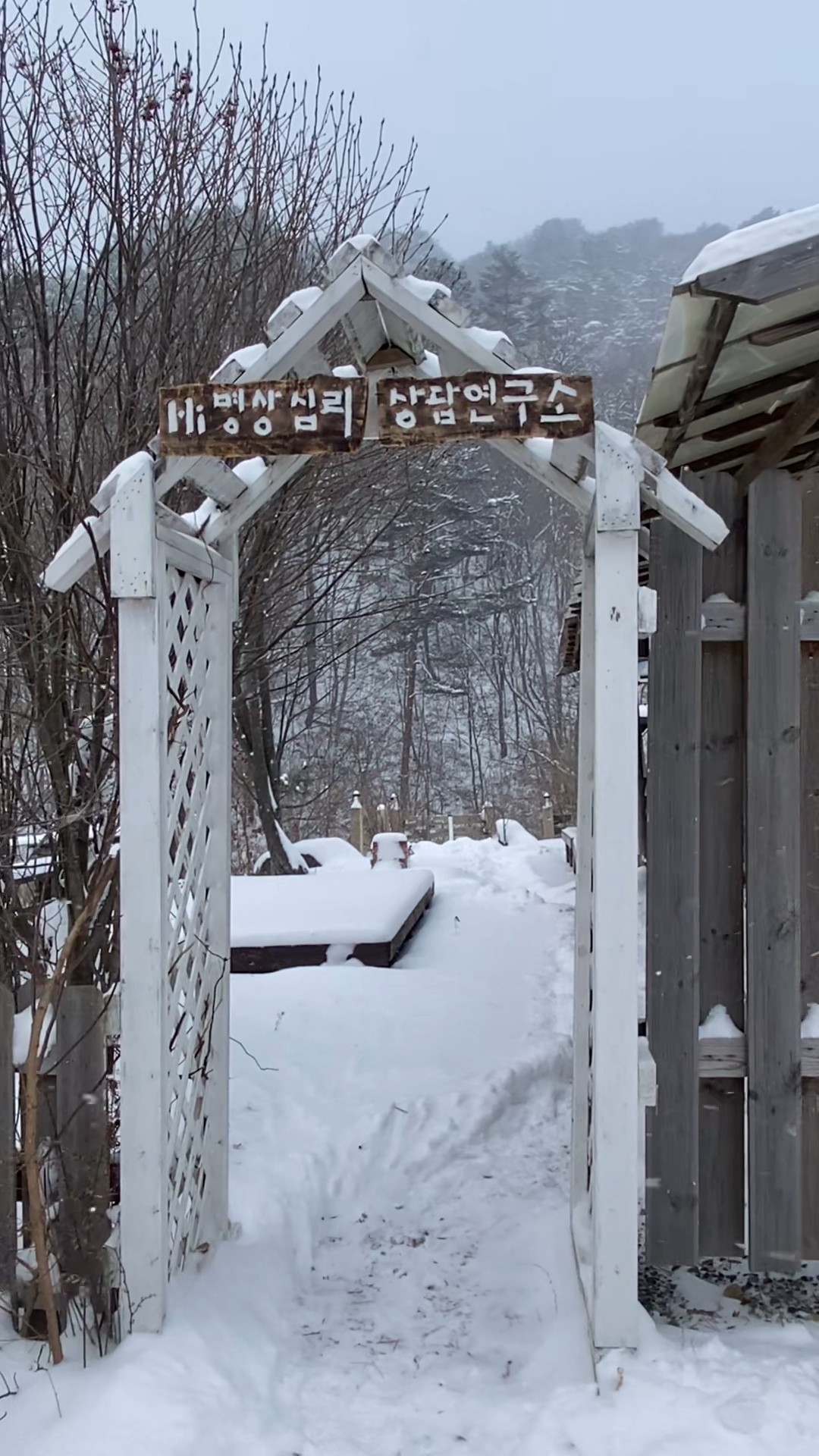하이명상심리상담연구소 대표 이미지