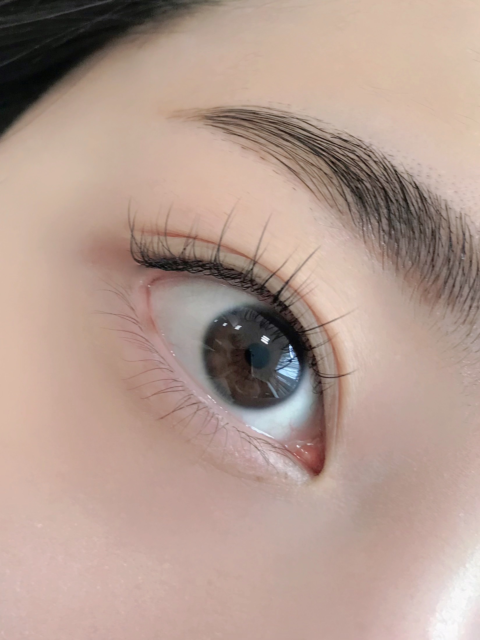 디브로우
