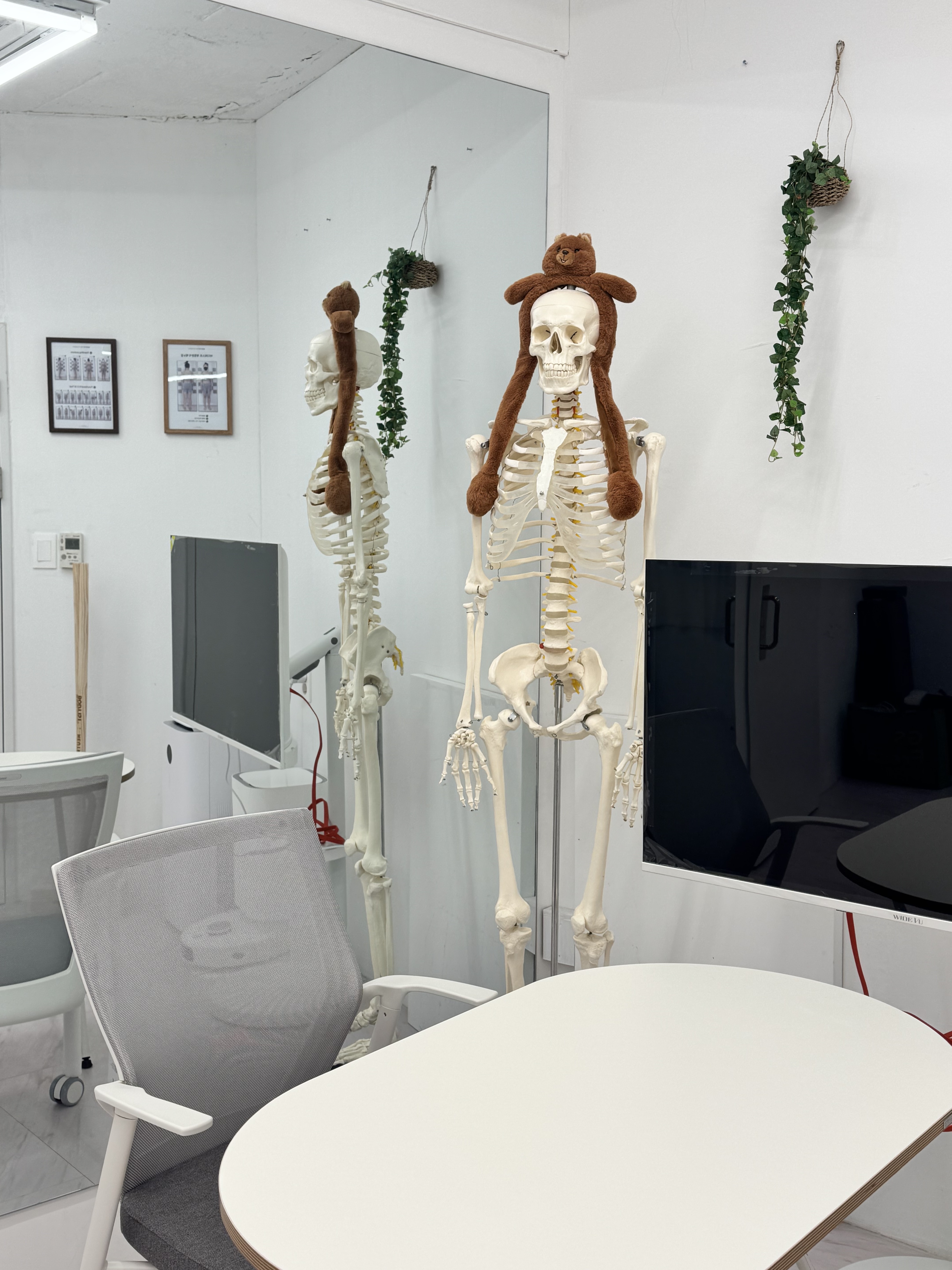 레브체형분석운동센터 대표 이미지