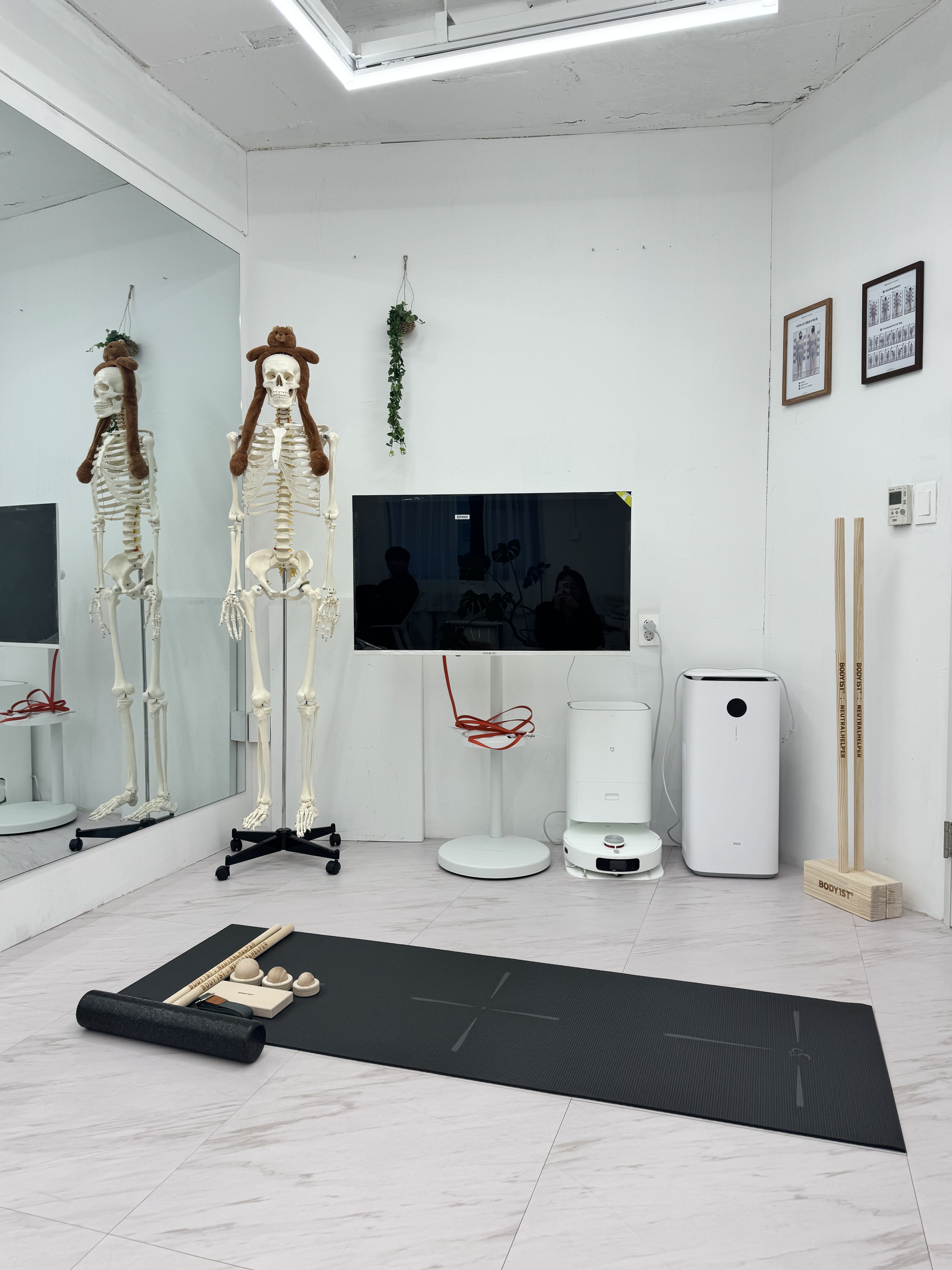 레브체형분석운동센터 이미지