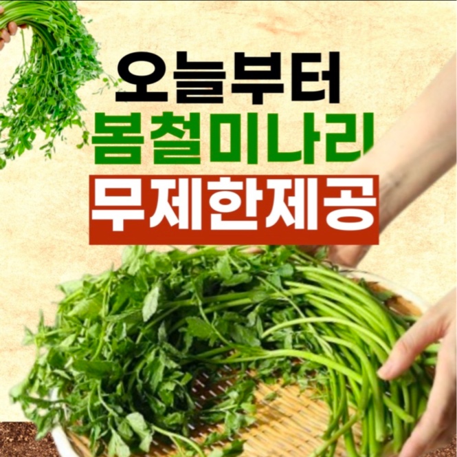 혜옥당 대구종로 본점