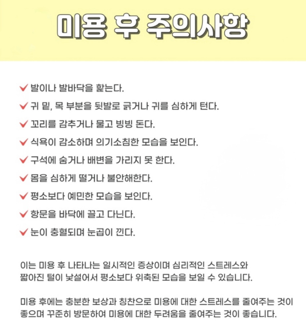 비비펫살롱