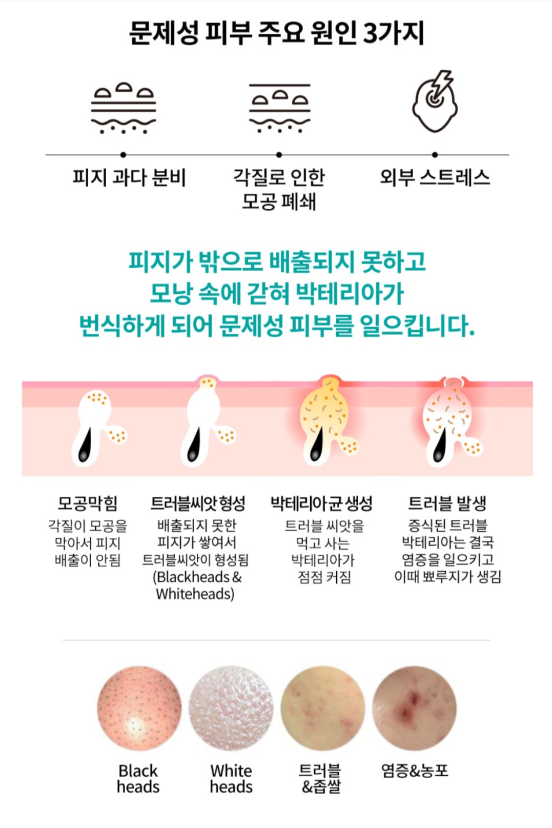 맑음 대표 이미지