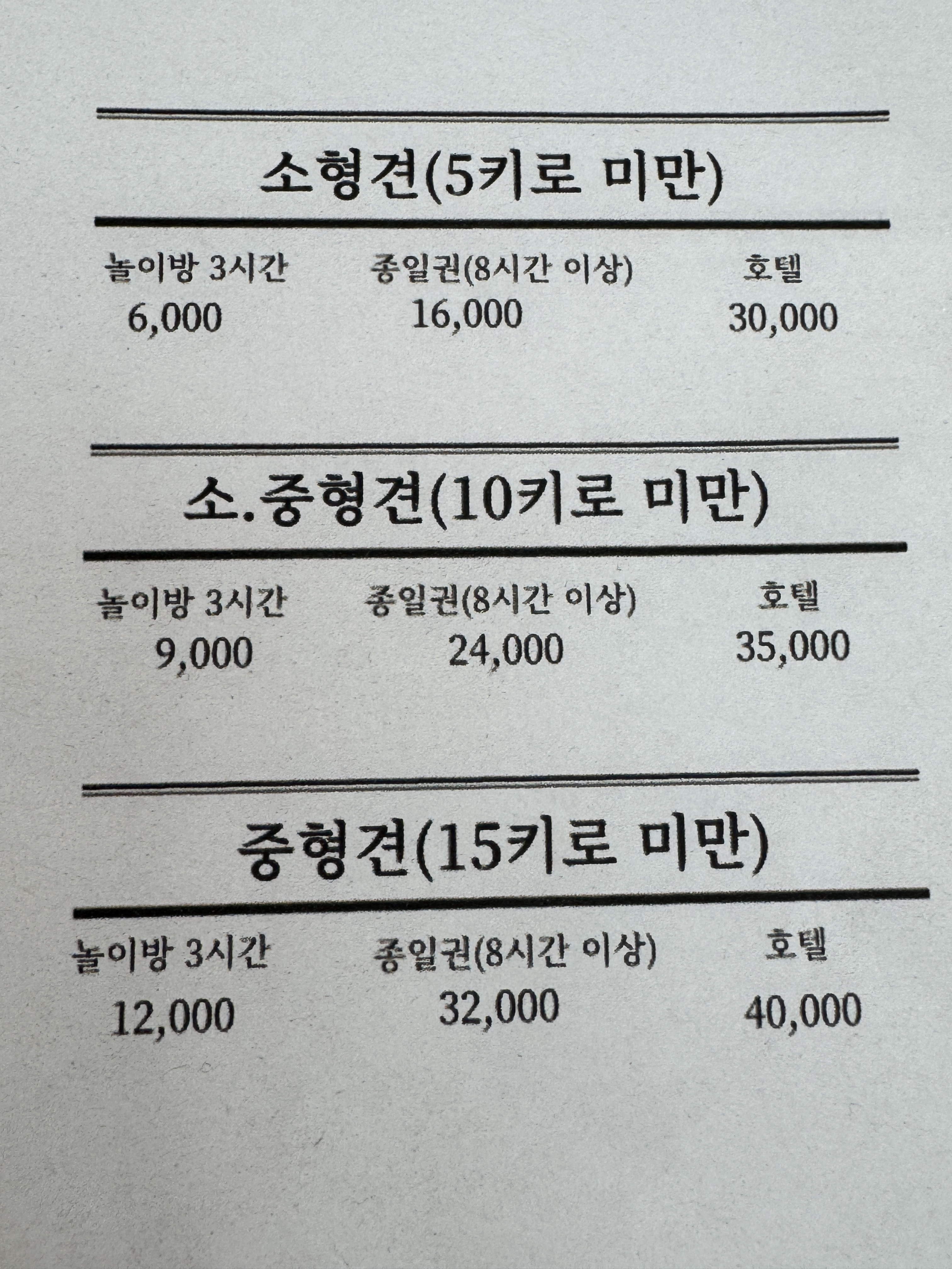 꽃분이네애견카페