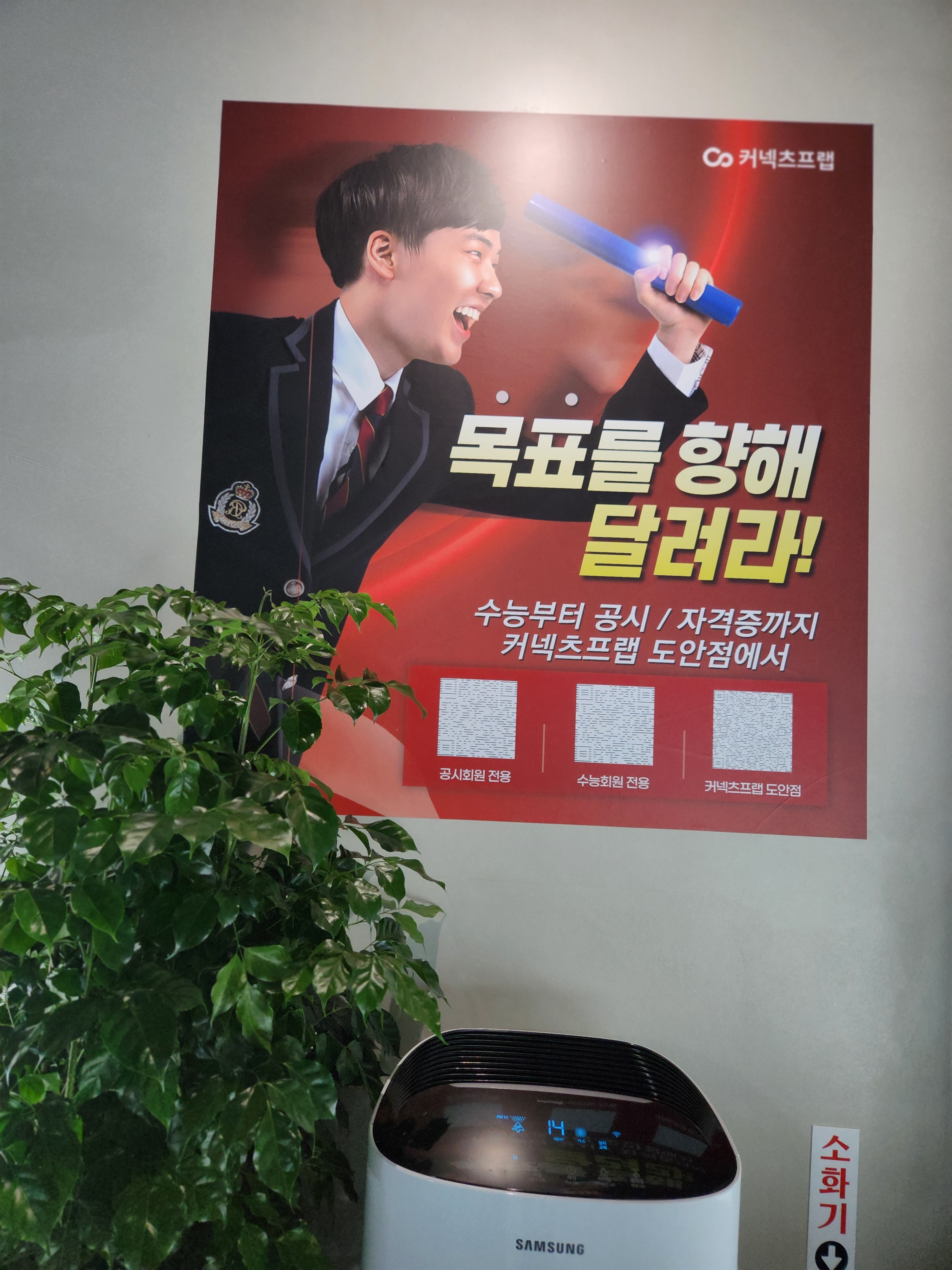 업체사진