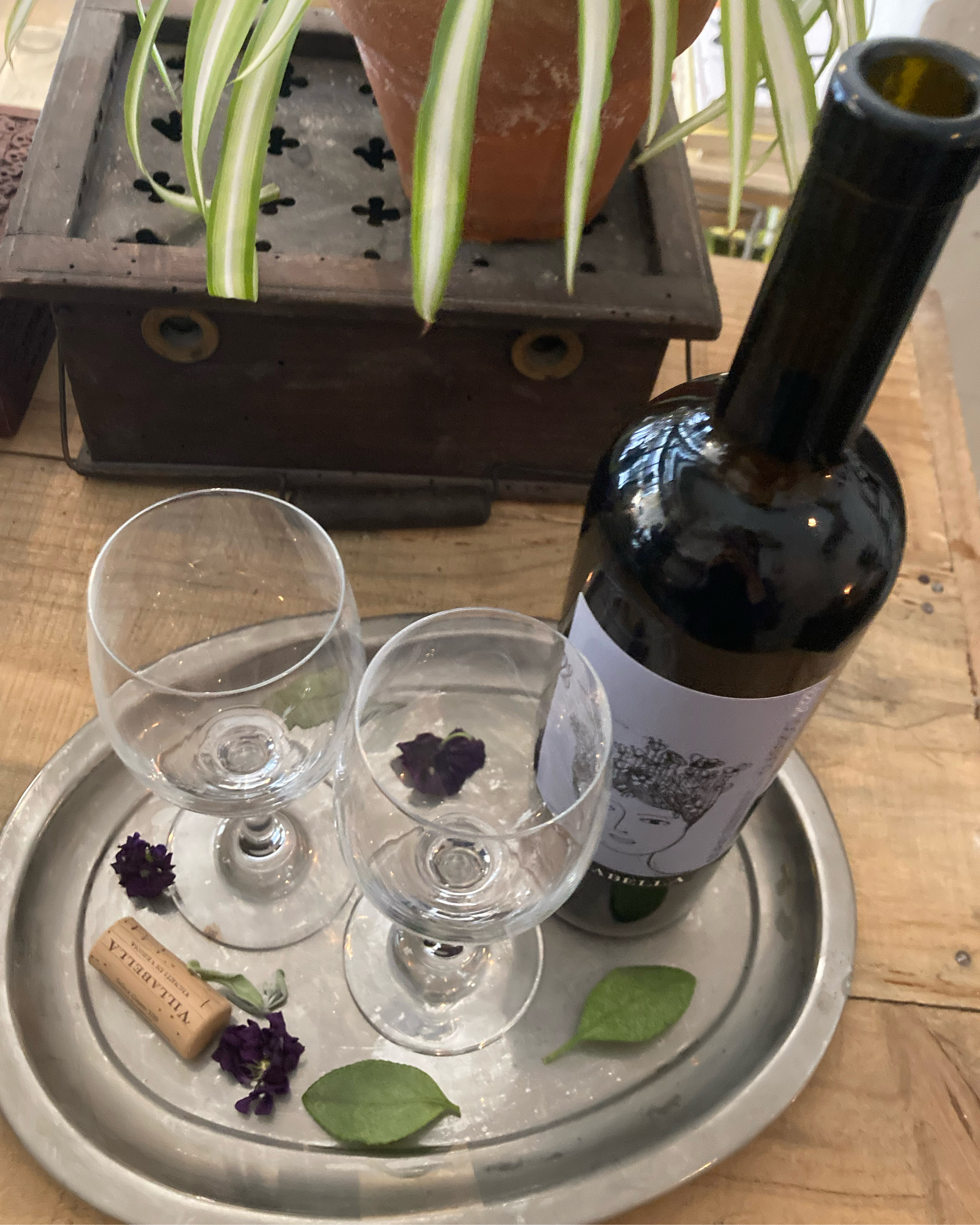 코스모스 달 대표 이미지