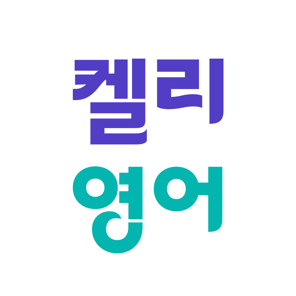 켈리영어