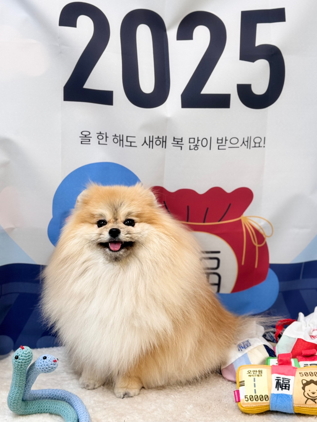 개린이미용실 대표 이미지