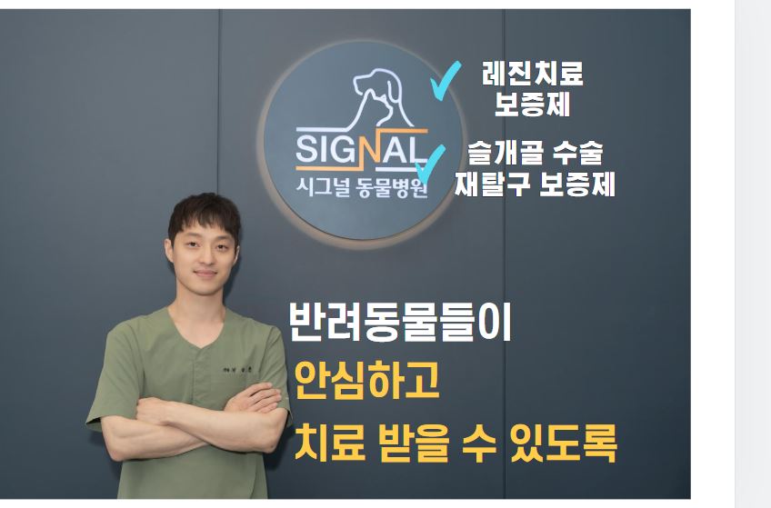 시그널동물병원