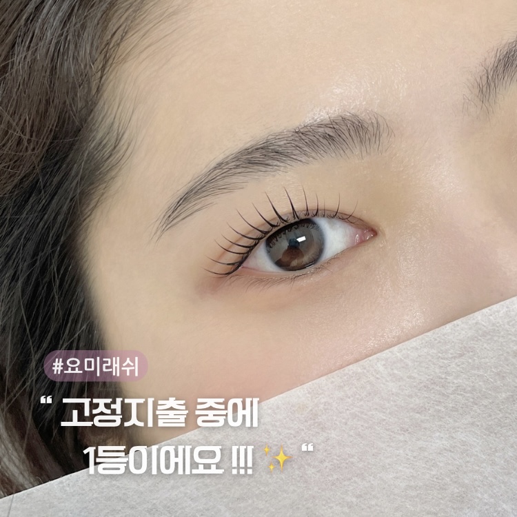 요미래쉬 대표 이미지