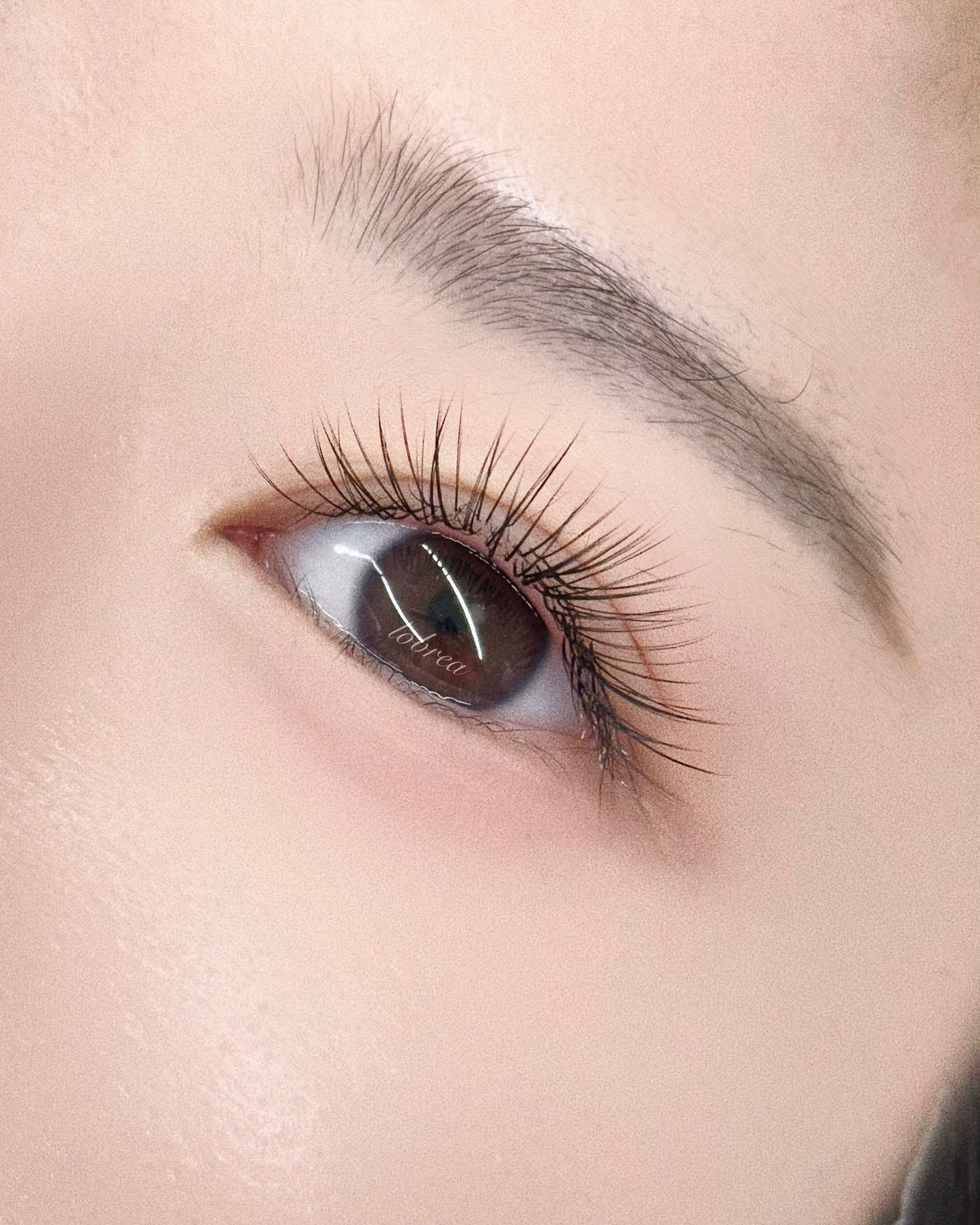 로브레아 대표 이미지