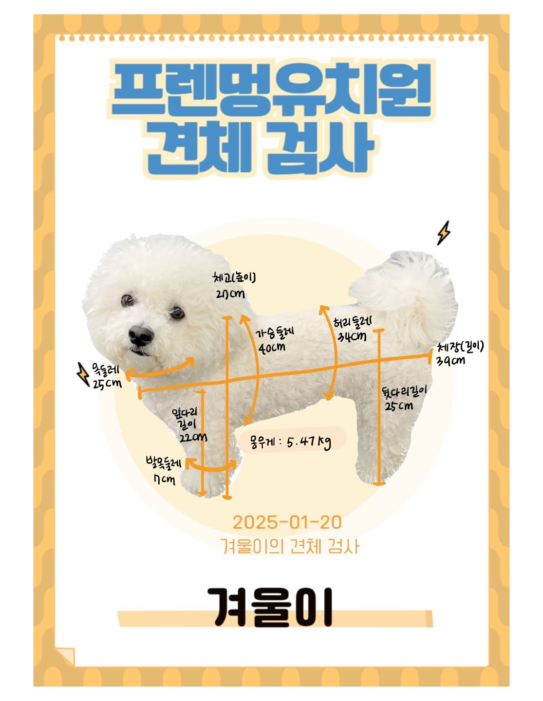 프렌멍 강아지유치원 호텔 대표 이미지