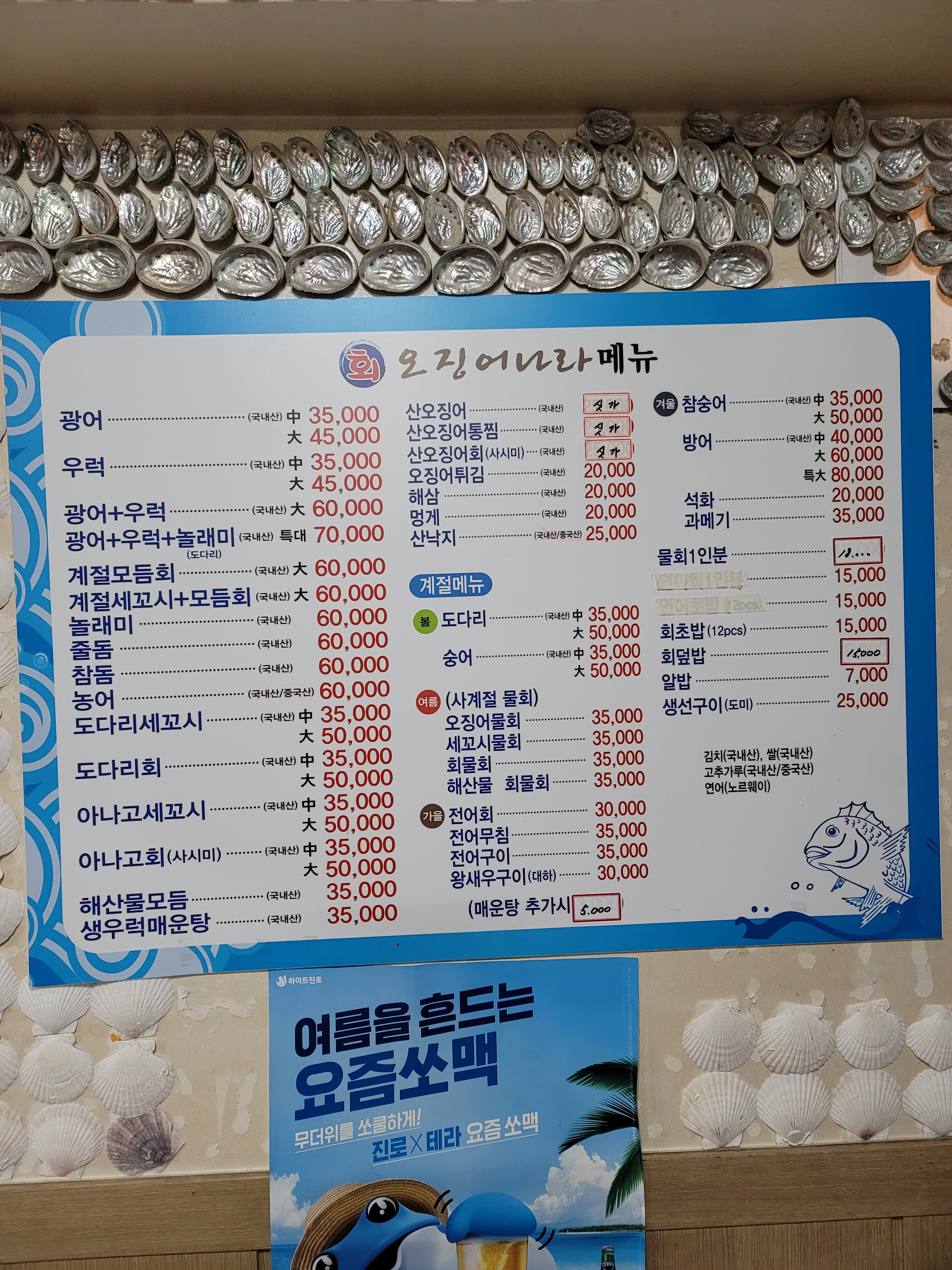회오징어나라